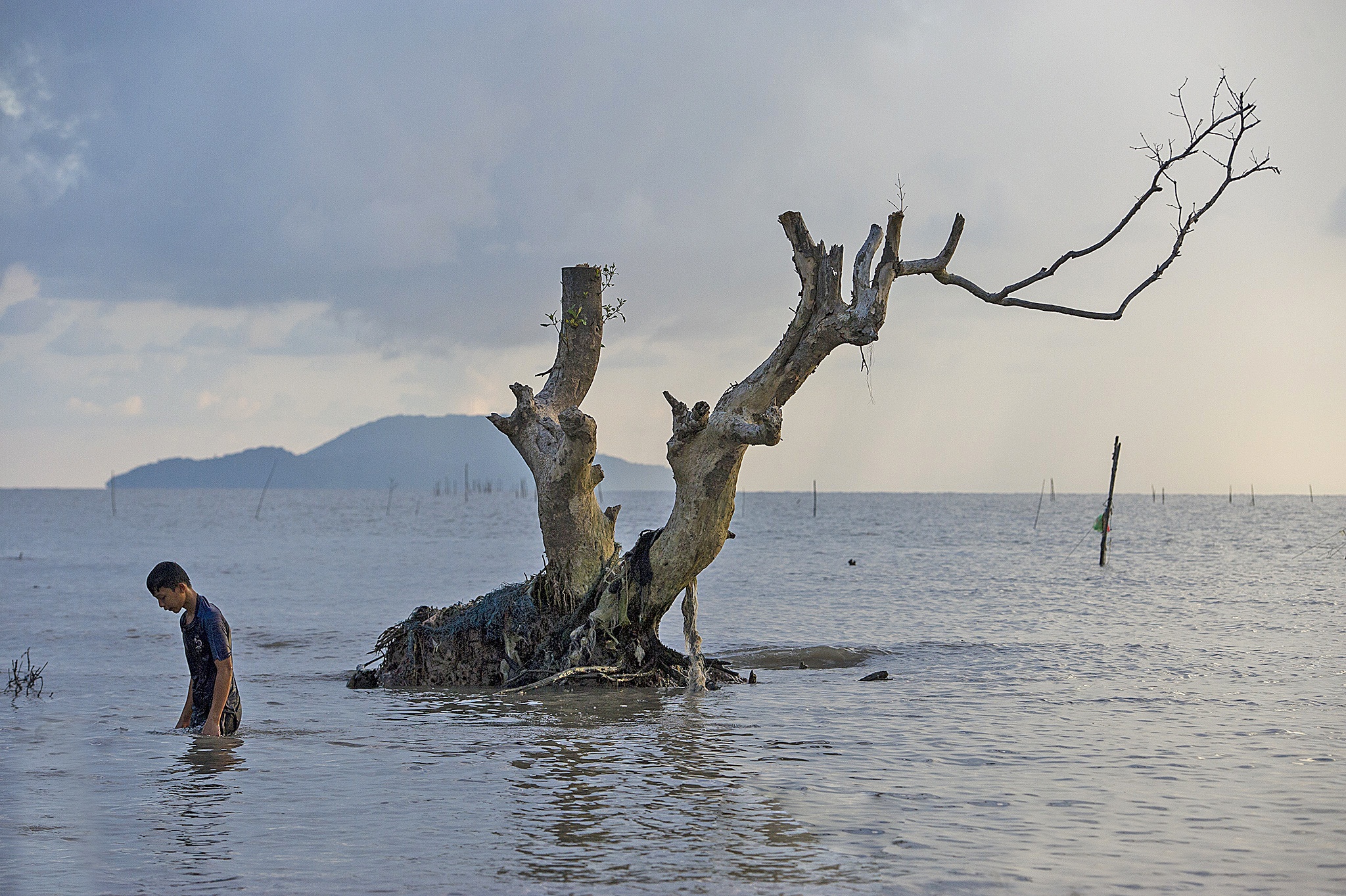 Song bien danh sat lo Dat Mui Ca Mau anh 8