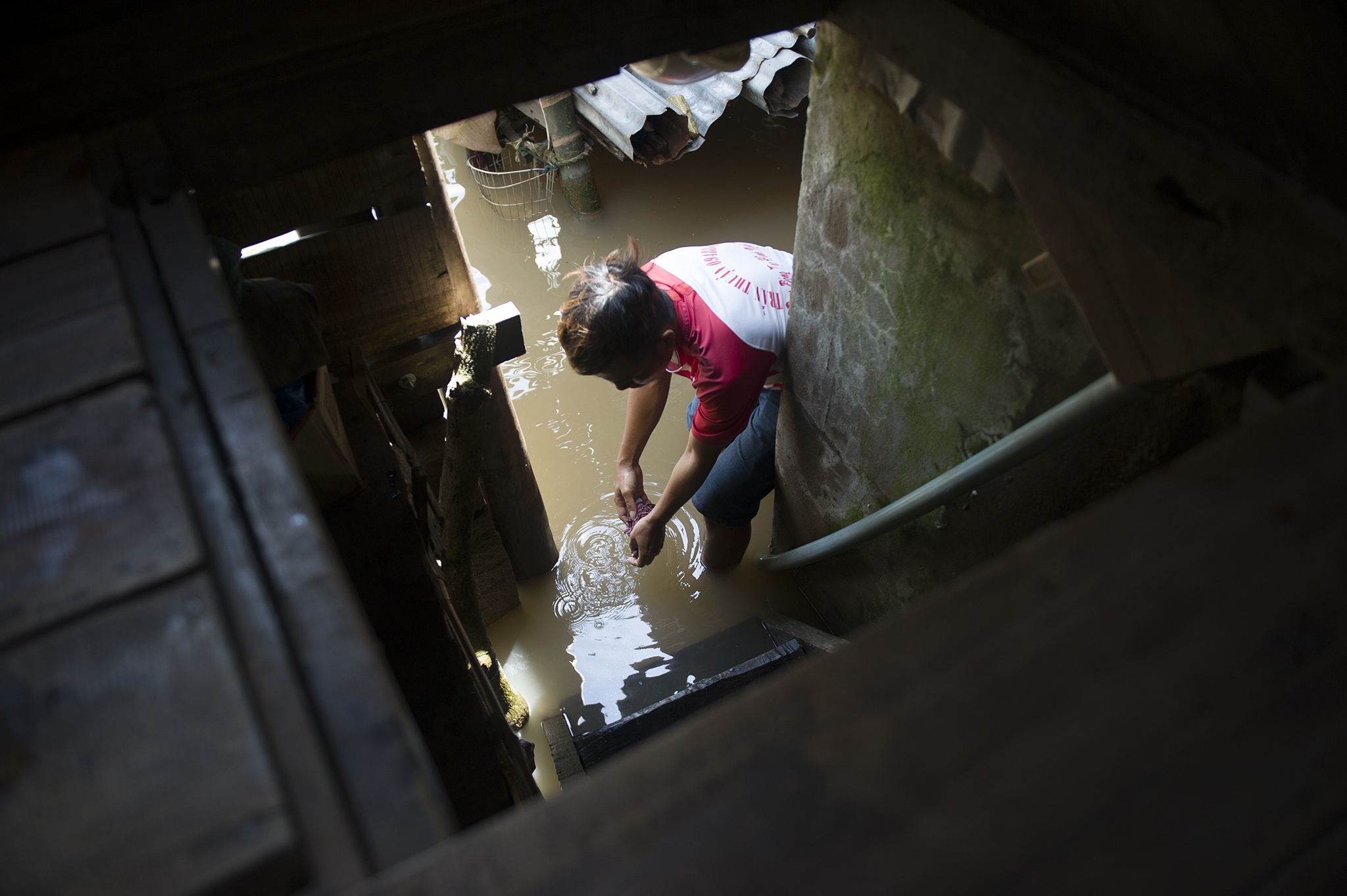 Chú hề thổi bóng bằng mũi ở miền Tây, chú hề miền Tây gà trống nuôi con ảnh 26 Chu he thoi bong bang mui o mien Tay, chu he mien Tay ga trong nuoi con anh 26