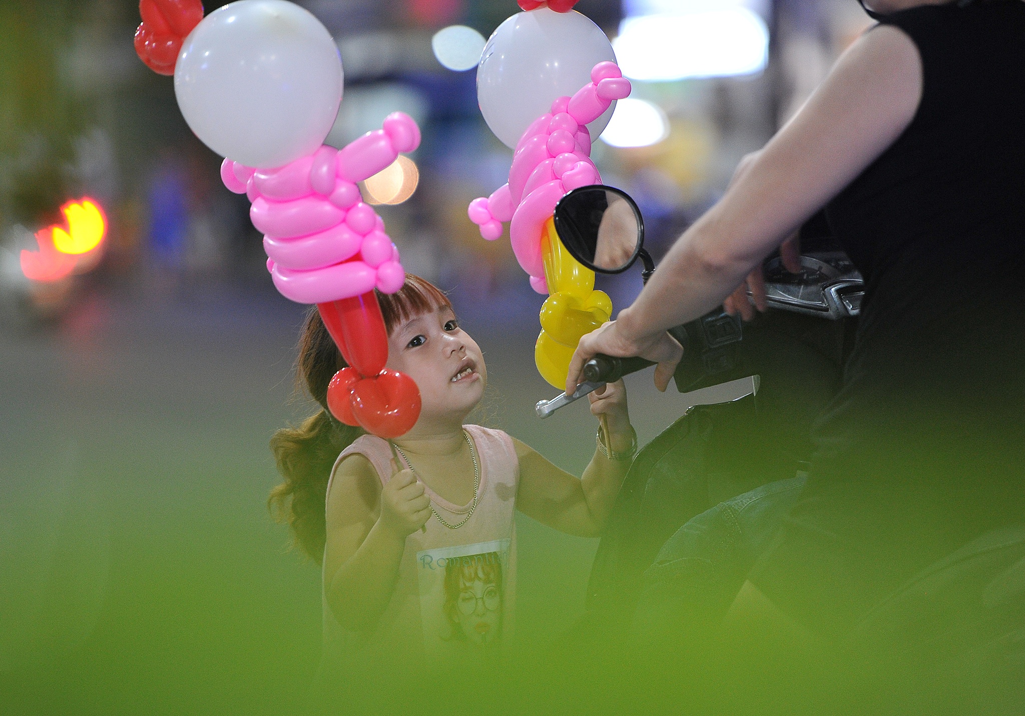 Chu he thoi bong bang mui o mien Tay,  chu he mien Tay ga trong nuoi con anh 13