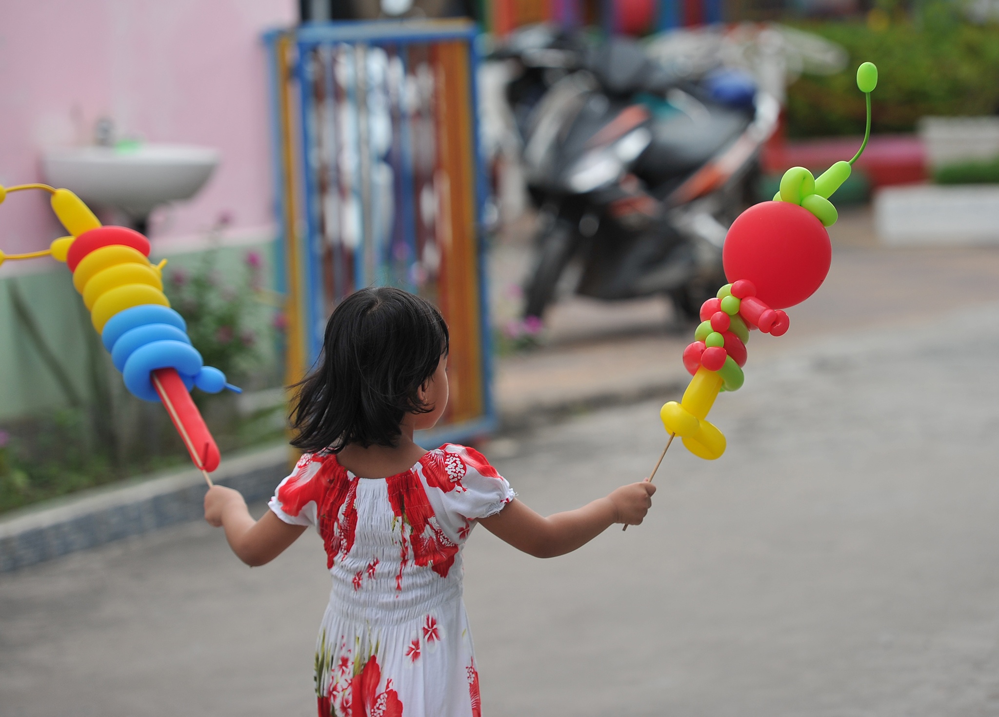 Chu he thoi bong bang mui o mien Tay,  chu he mien Tay ga trong nuoi con anh 17