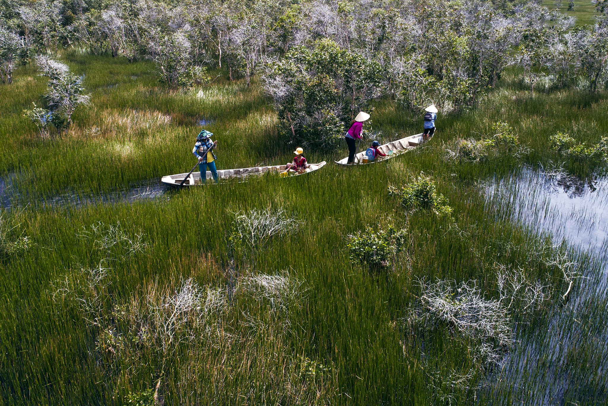 Canh sac dam say o vung dat phia tay nam To quoc hinh anh
