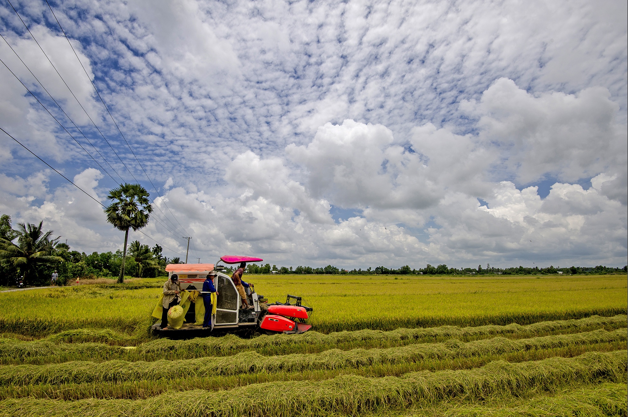 du lịch Phú Quốc ảnh 9 du lich Phu Quoc anh 9