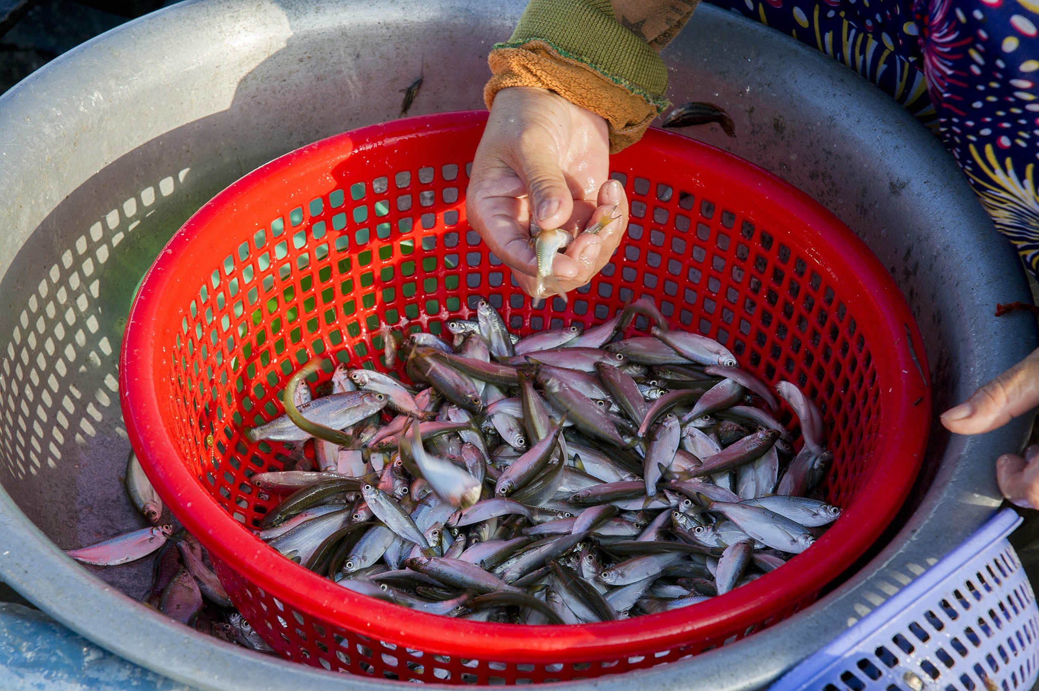 du lịch Phú Quốc ảnh 30 du lich Phu Quoc anh 30