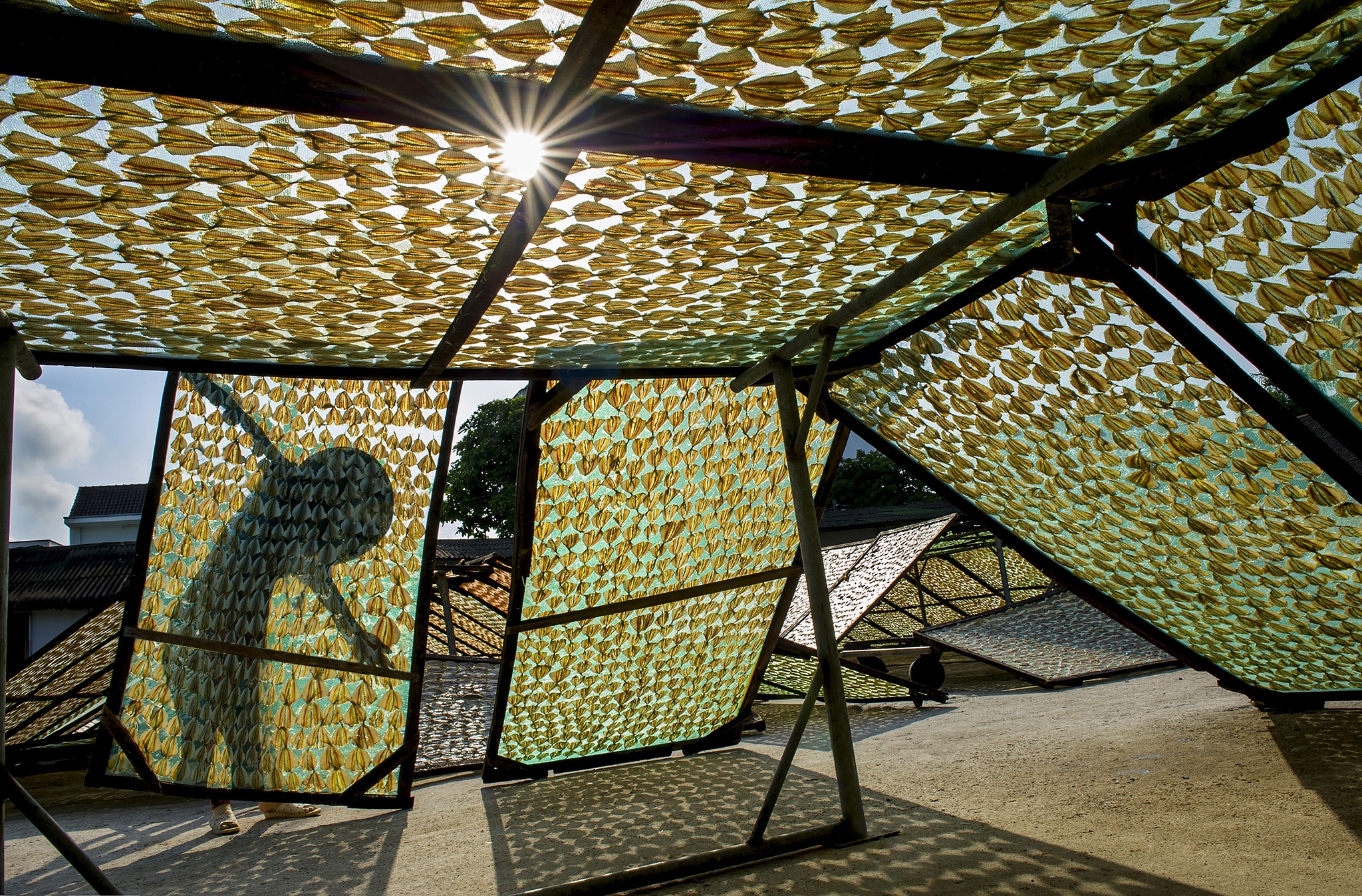 du lịch Phú Quốc ảnh 26 du lich Phu Quoc anh 26