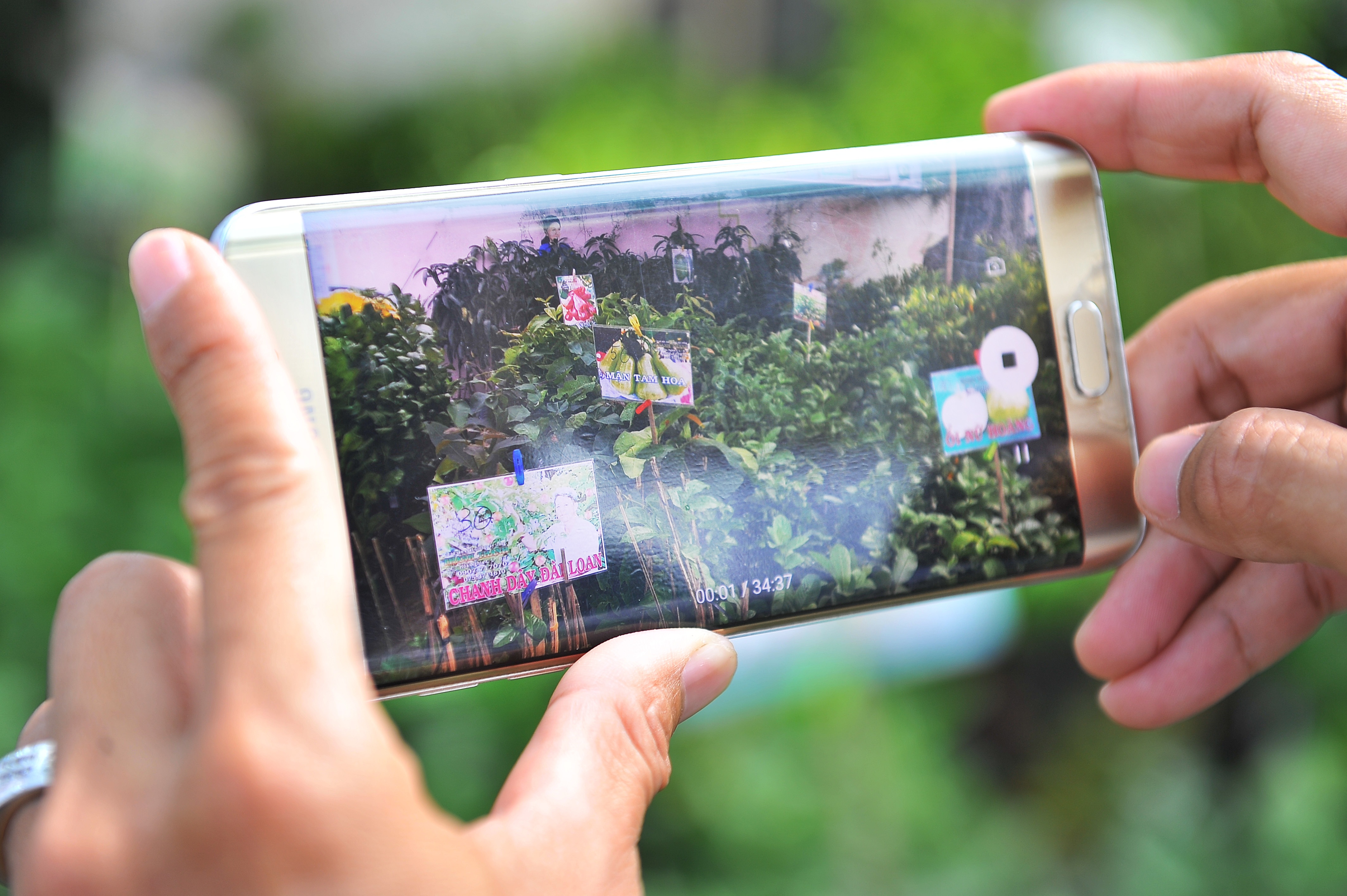 Trai cay doc la o Hoi cho nong nghiep quoc te DBSCL anh 2