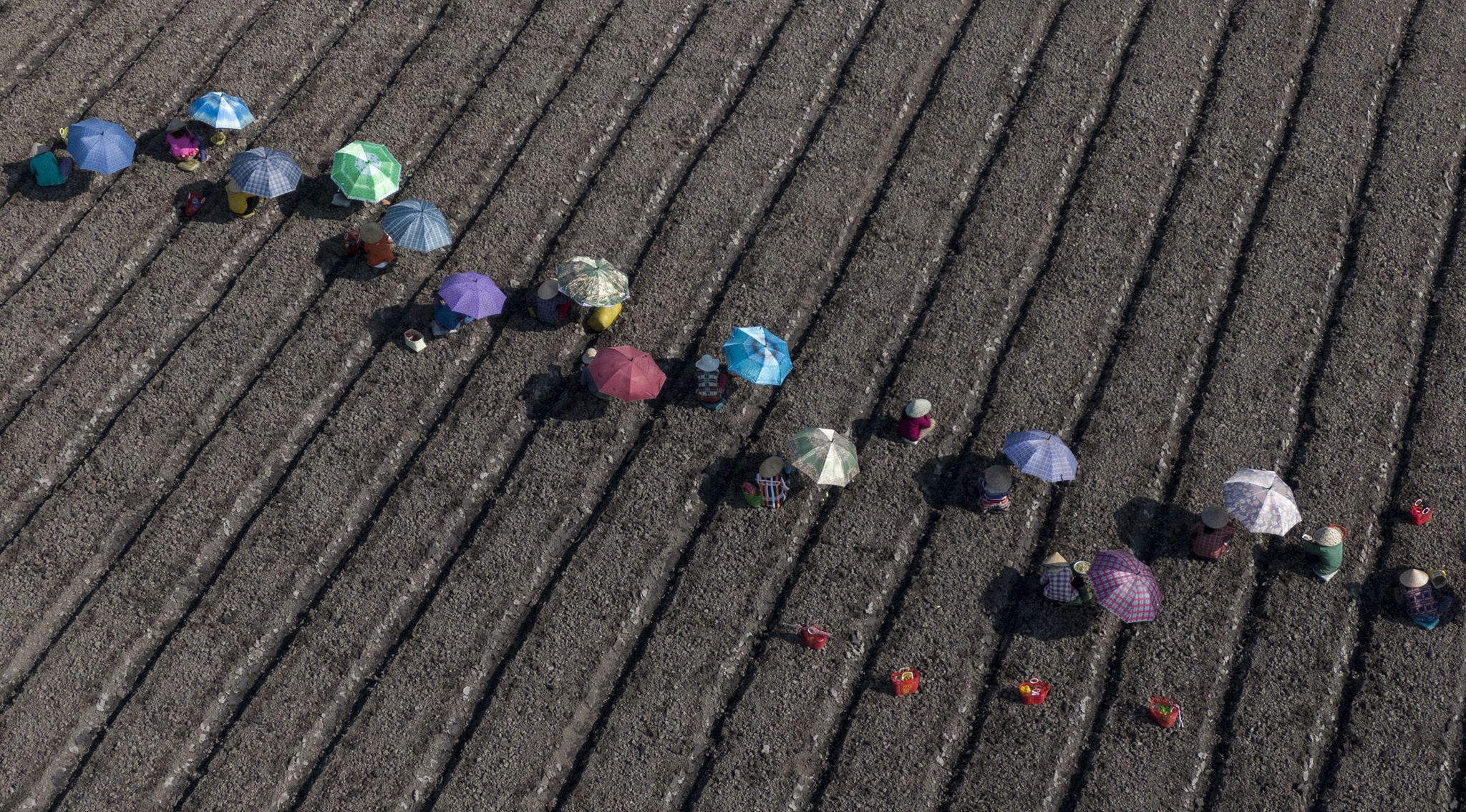 Tram nguoi che du trong kieu tet o mien Tay,  trong kieu tet o Kien Giang anh 1