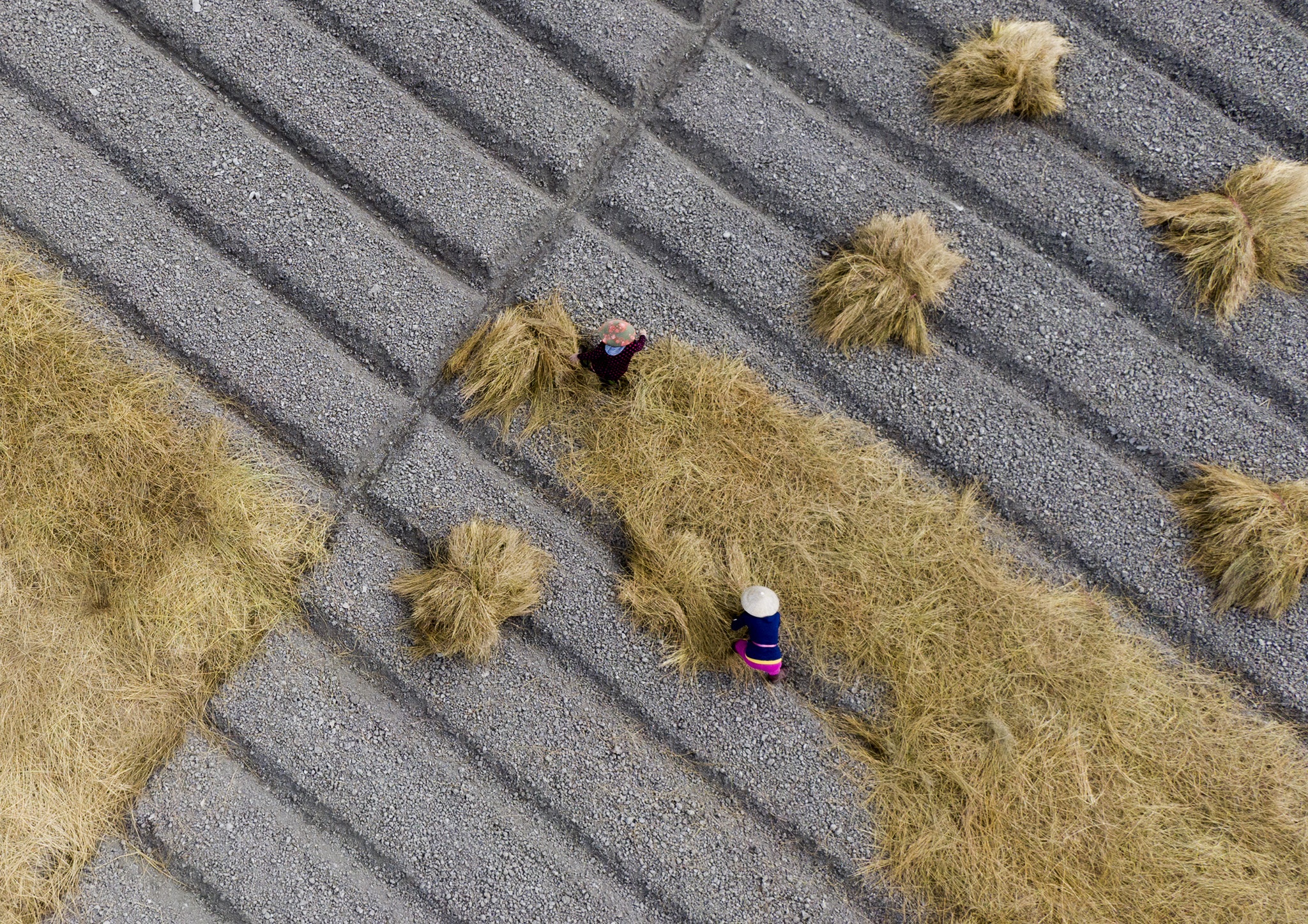 Tram nguoi che du trong kieu tet o mien Tay,  trong kieu tet o Kien Giang anh 9
