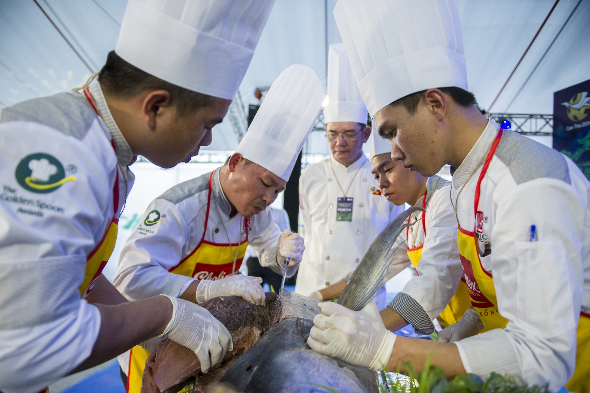 Trinh dien mo ca ngu dai duong cham mu tat an tuoi anh 5