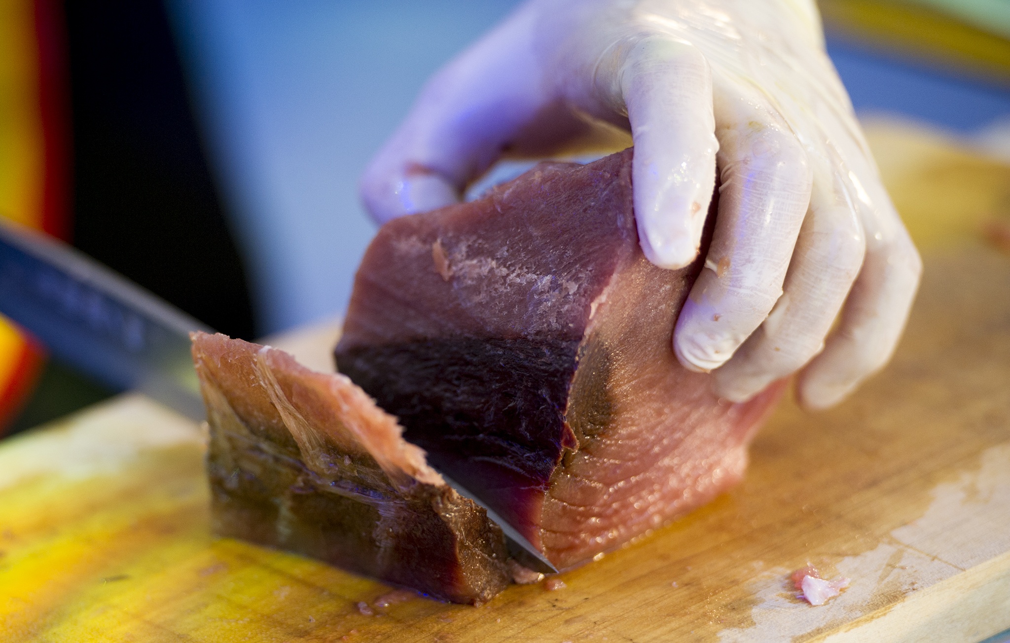 Trinh dien mo ca ngu dai duong cham mu tat an tuoi anh 7