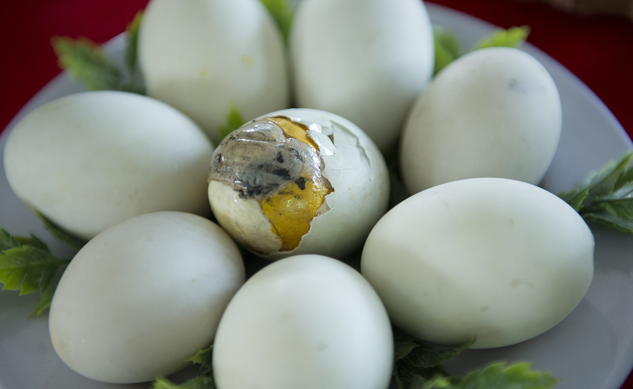 Nhieu nguoi mien Tay anh 7