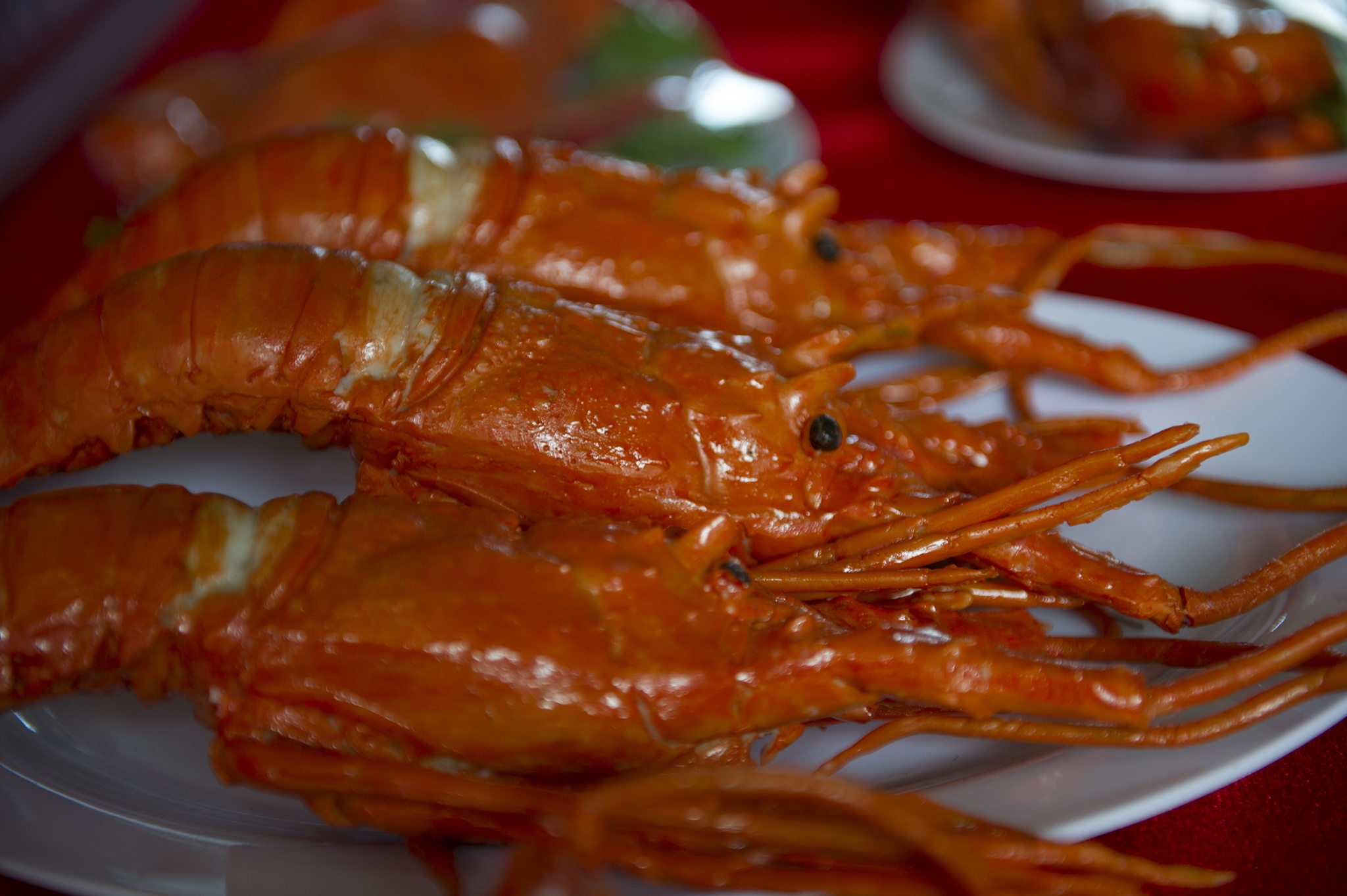 Nhieu nguoi mien Tay anh 2