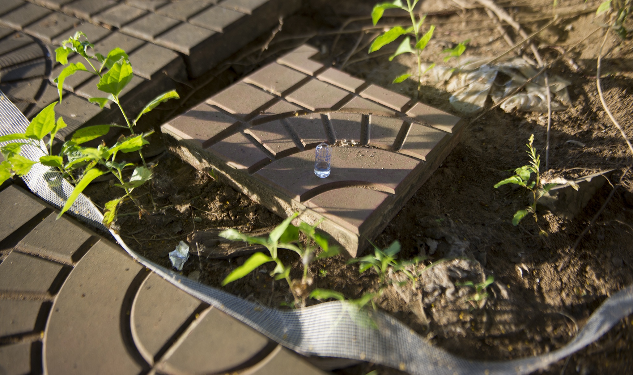 Nhà triển lãm 40 tỷ ở Cà Mau ảnh 8 Nha trien lam 40 ty o Ca Mau anh 8