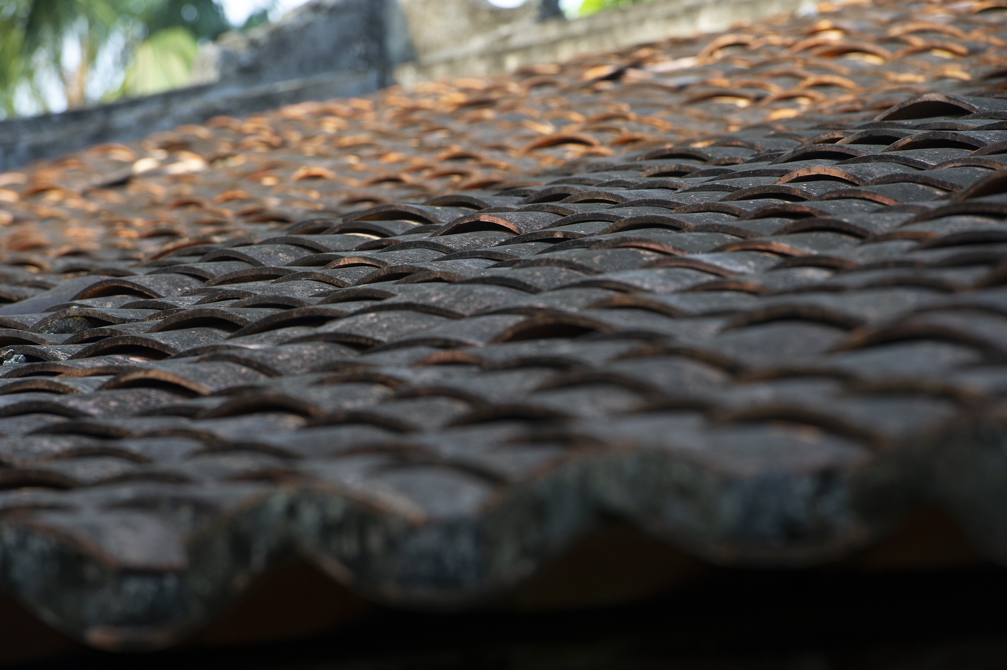 Ngoi nha co doc dao gan 200 nam tuoi o mien Tay anh 9