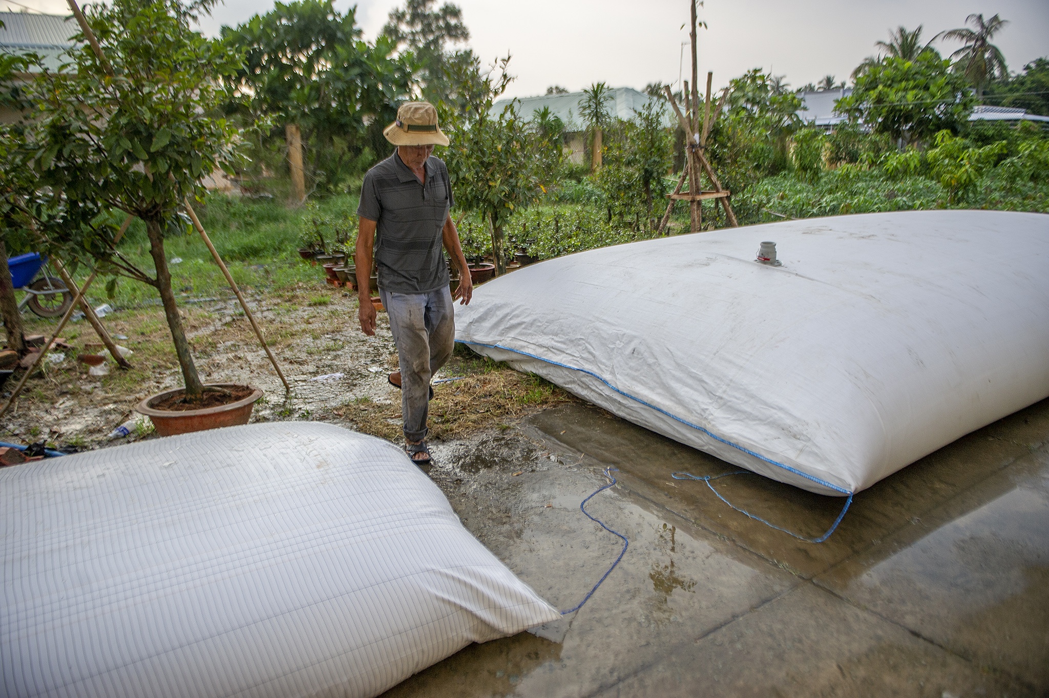 Vuong quoc hoa kieng mien Tay dung tui khong lo tru nuoc chong han man hinh anh