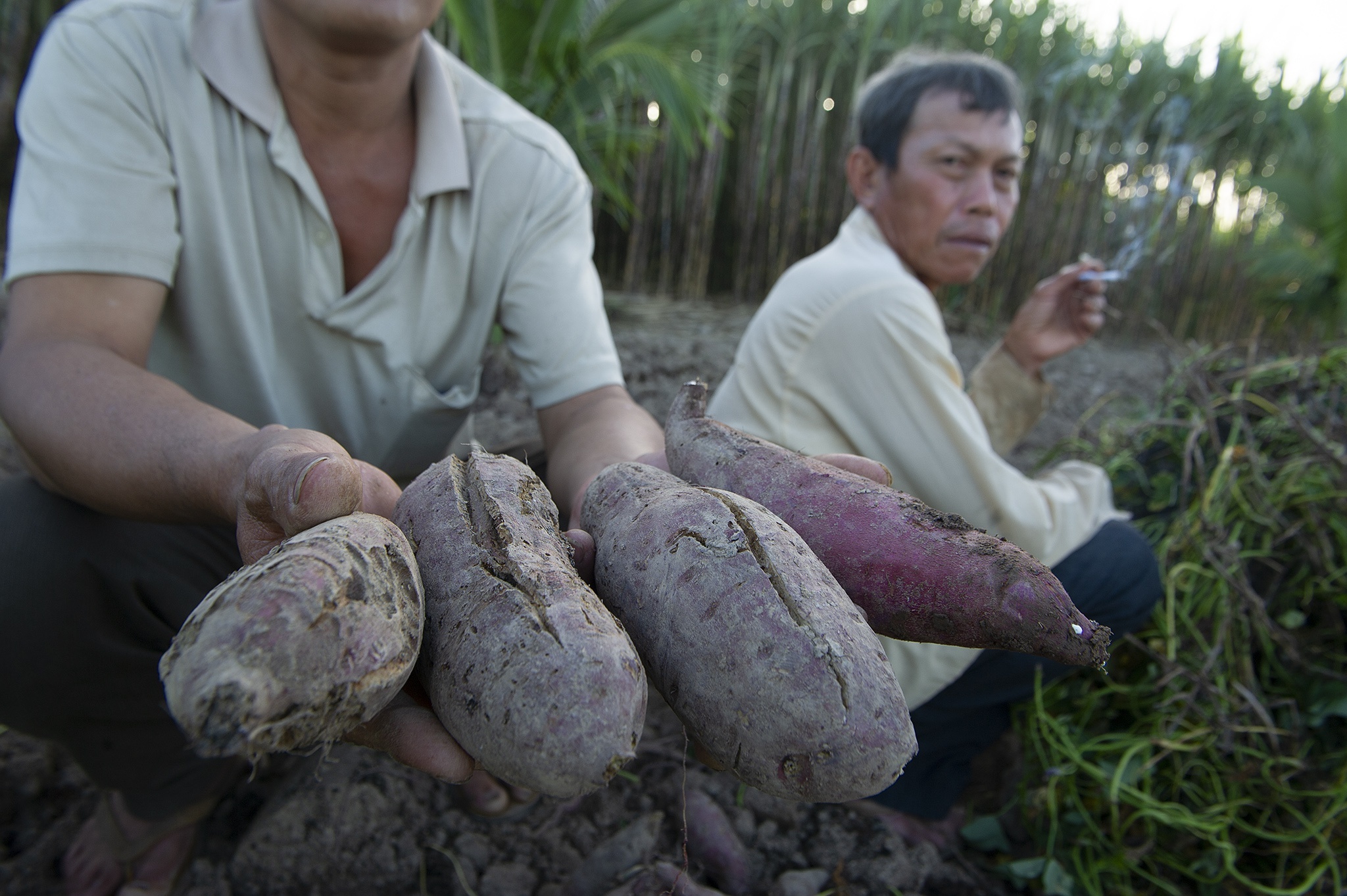 Nguoi mien Tay khoc rong vi tuoi hoa mau bang nuoc nhiem man hinh anh
