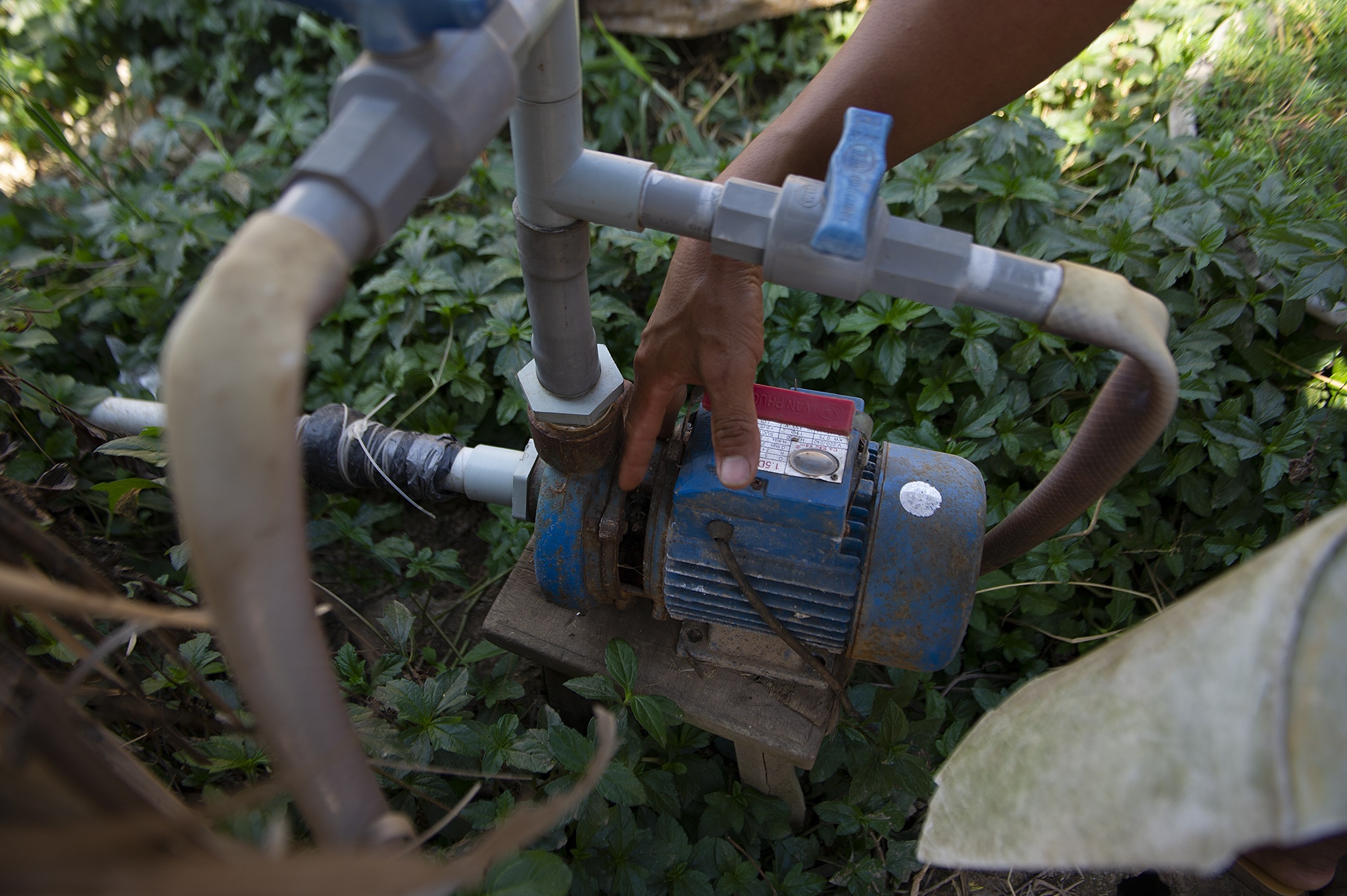 Ho nuoc ngot lon nhat mien Tay giup dan ung pho han man anh 6