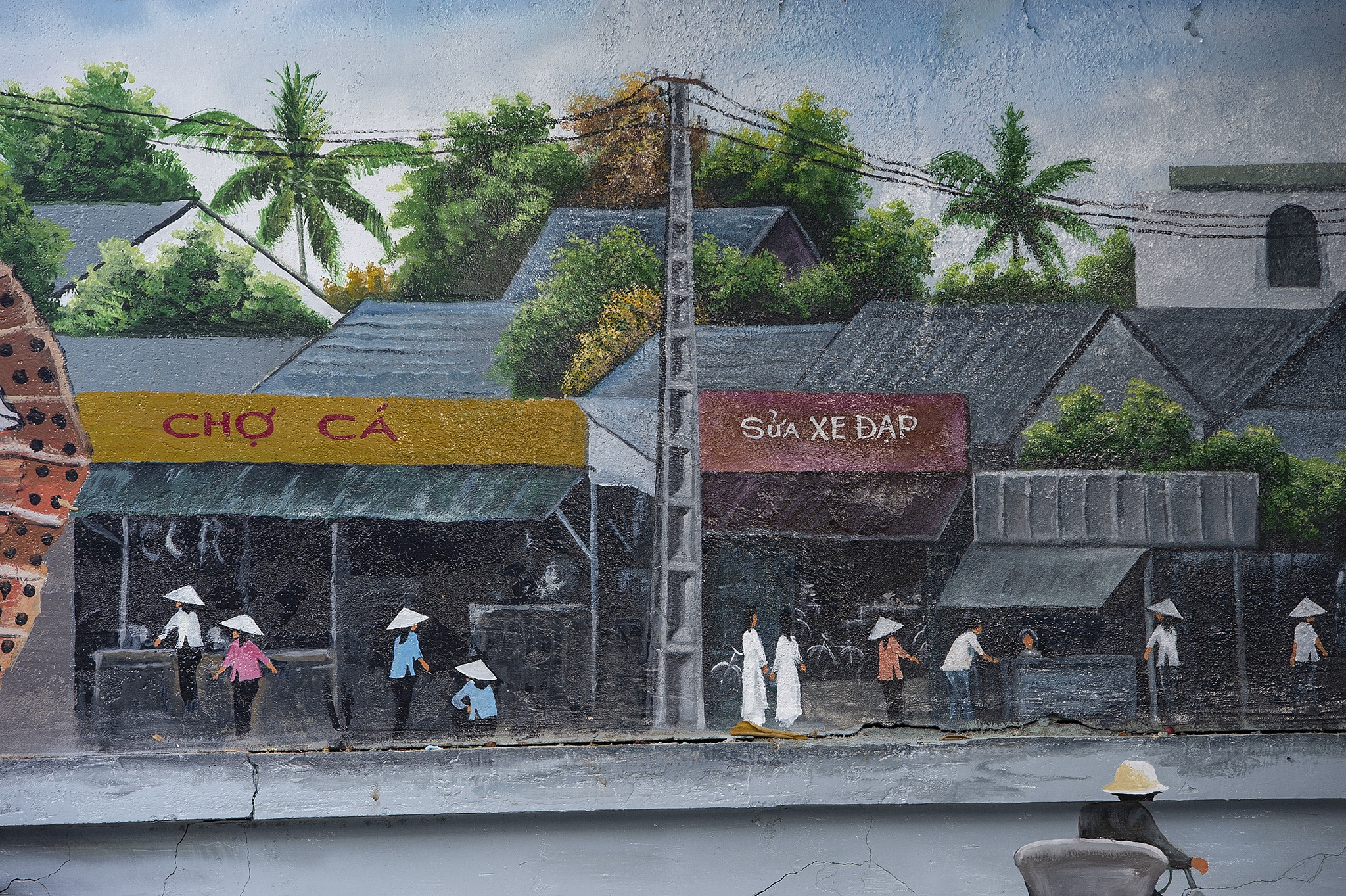 Hoai co noi con duong bich hoa doc nhat mien Tay anh 7