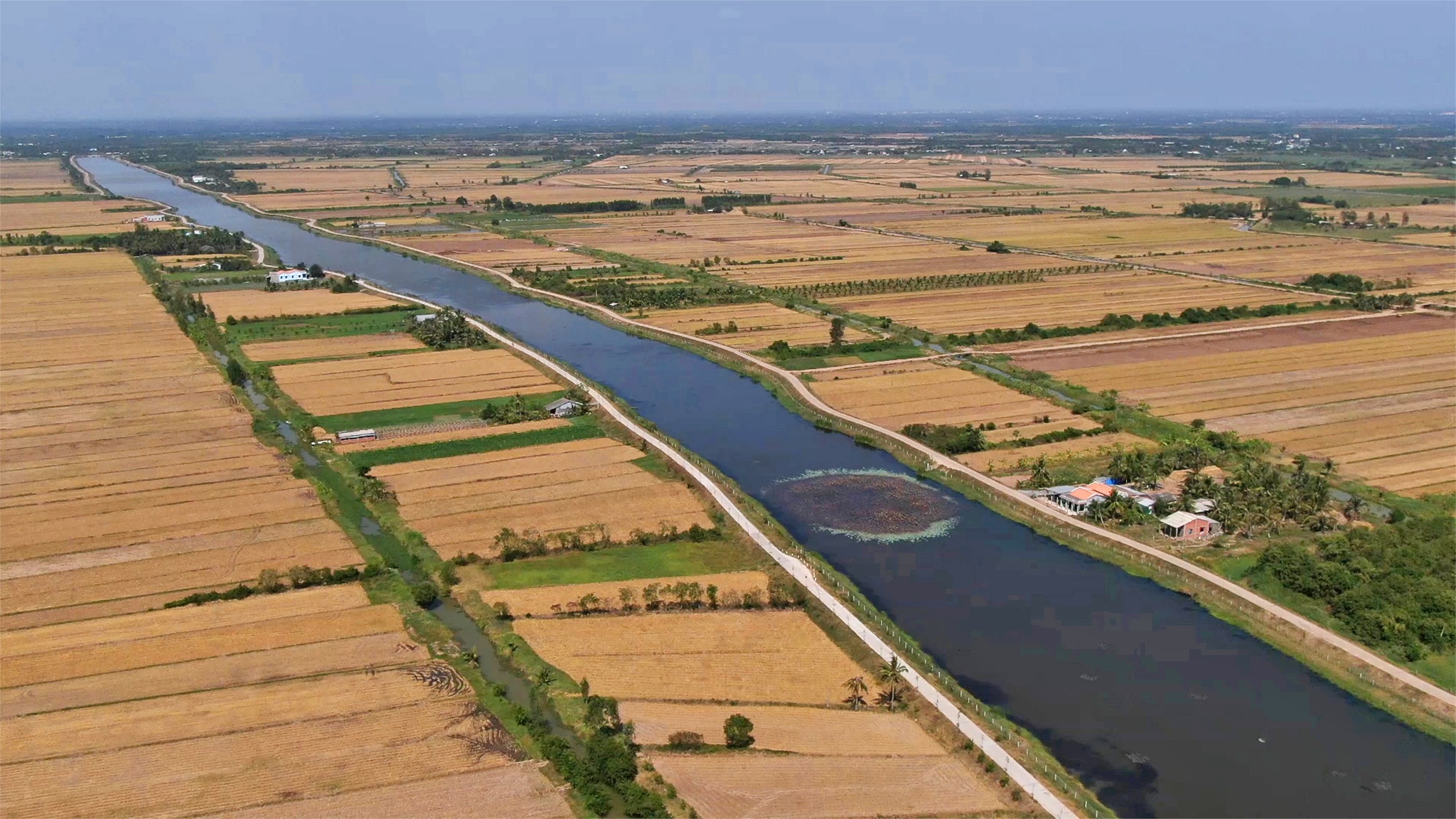 Mien Tay ung pho han man voi nhung cong tinh nghin ty anh 8