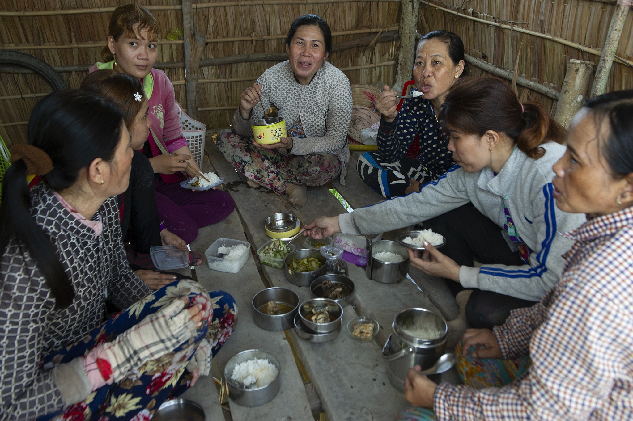 Kieu rot gia,  nong dan mien Tay nong long thu hoach ban thao anh 13