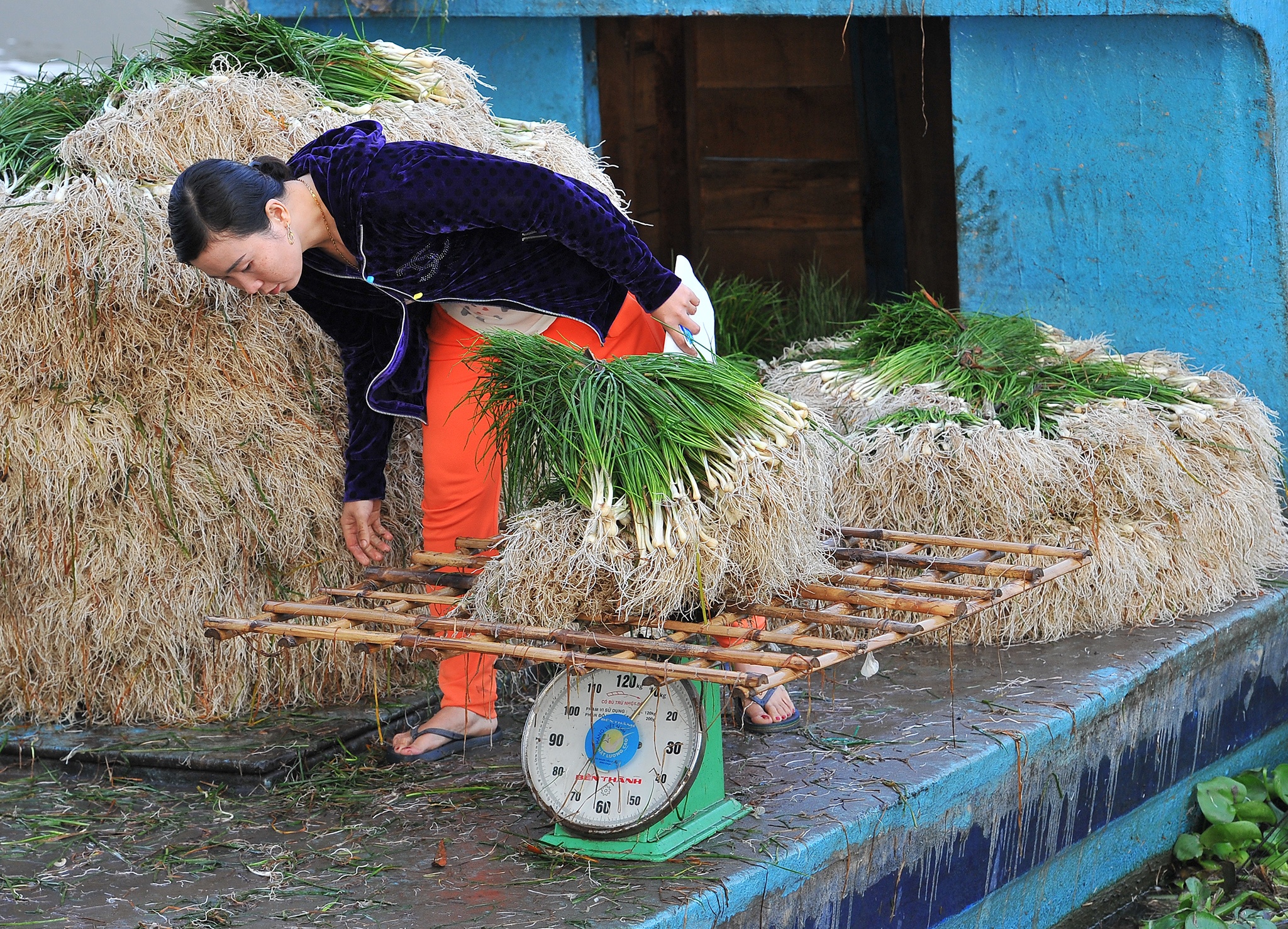 Kieu rot gia,  nong dan mien Tay nong long thu hoach ban thao anh 12