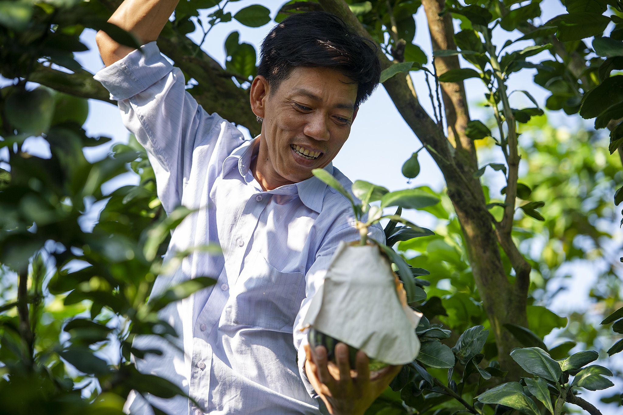 Buoi ho lo chay hang dip Tet o mien Tay anh 2