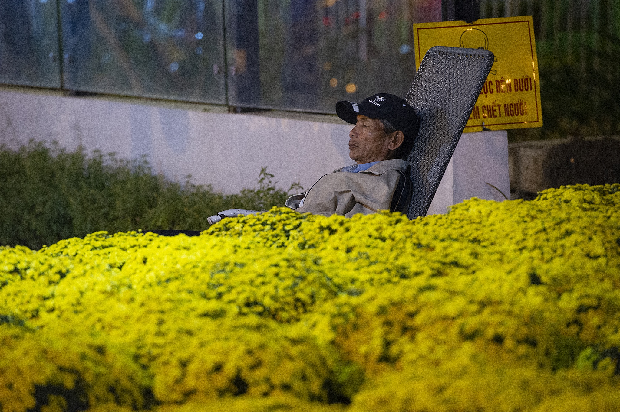 Hoa kieng mien Tay vang nguoi anh 2