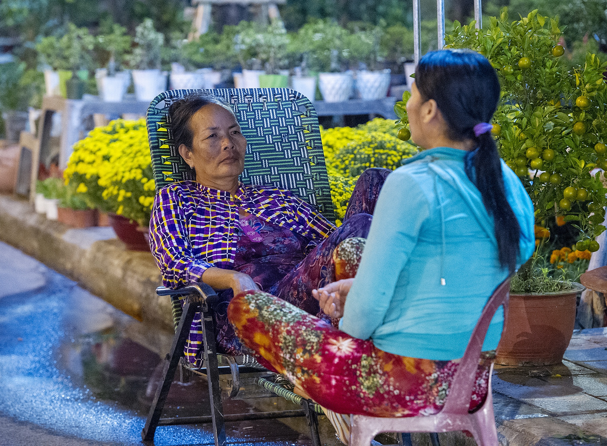 Hoa kieng mien Tay vang nguoi anh 7