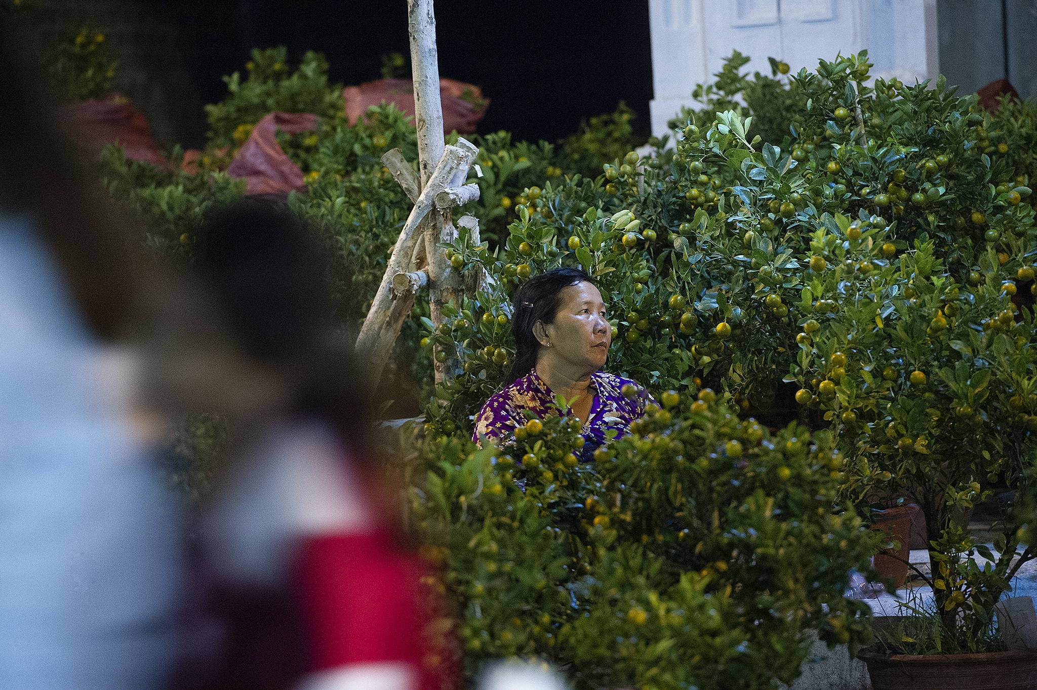 Hoa kieng mien Tay vang nguoi anh 5