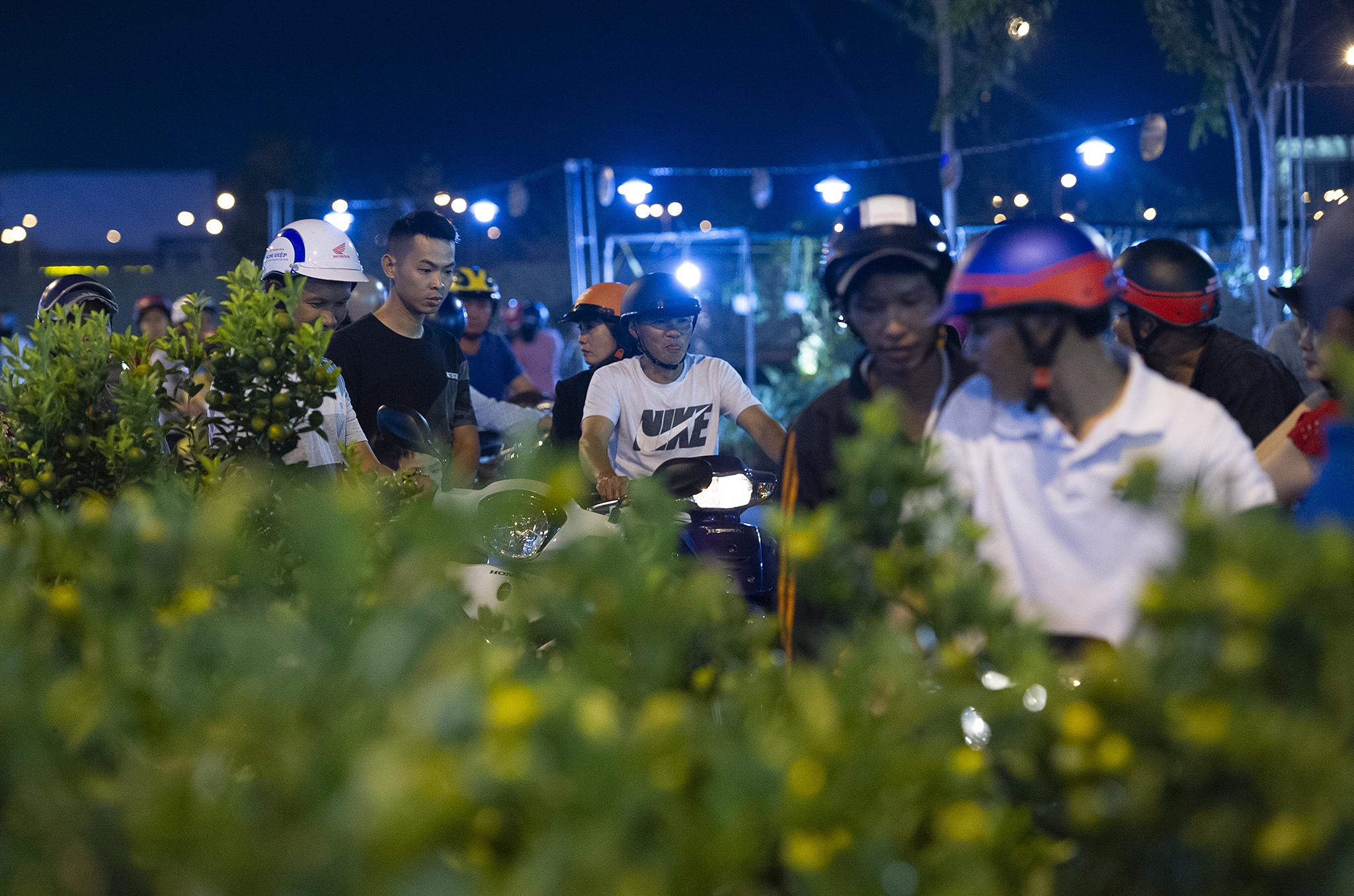 Hoa kieng mien Tay vang nguoi anh 9