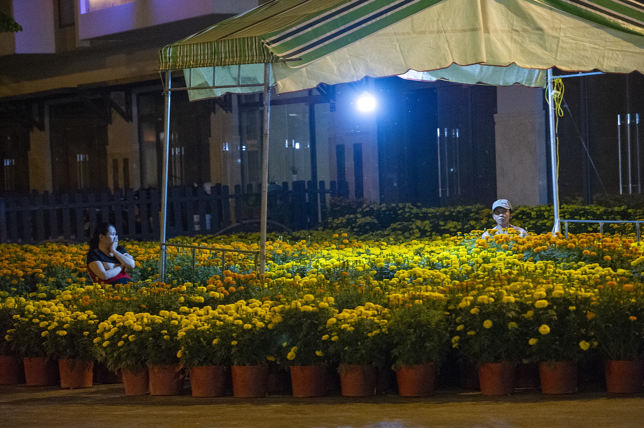 Hoa kieng mien Tay vang nguoi anh 8