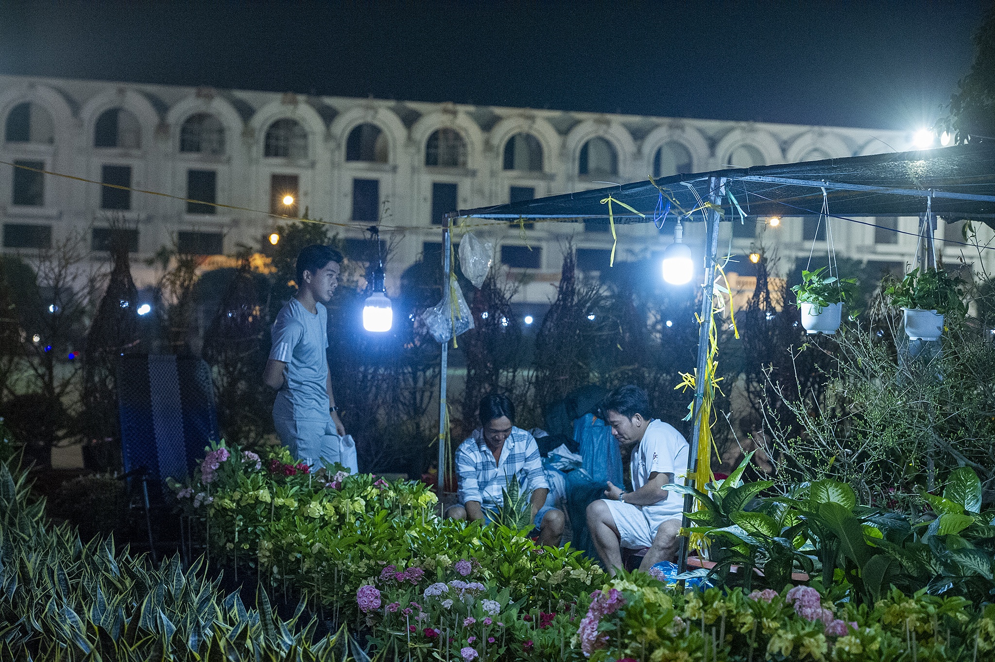 Hoa kieng mien Tay vang nguoi anh 4