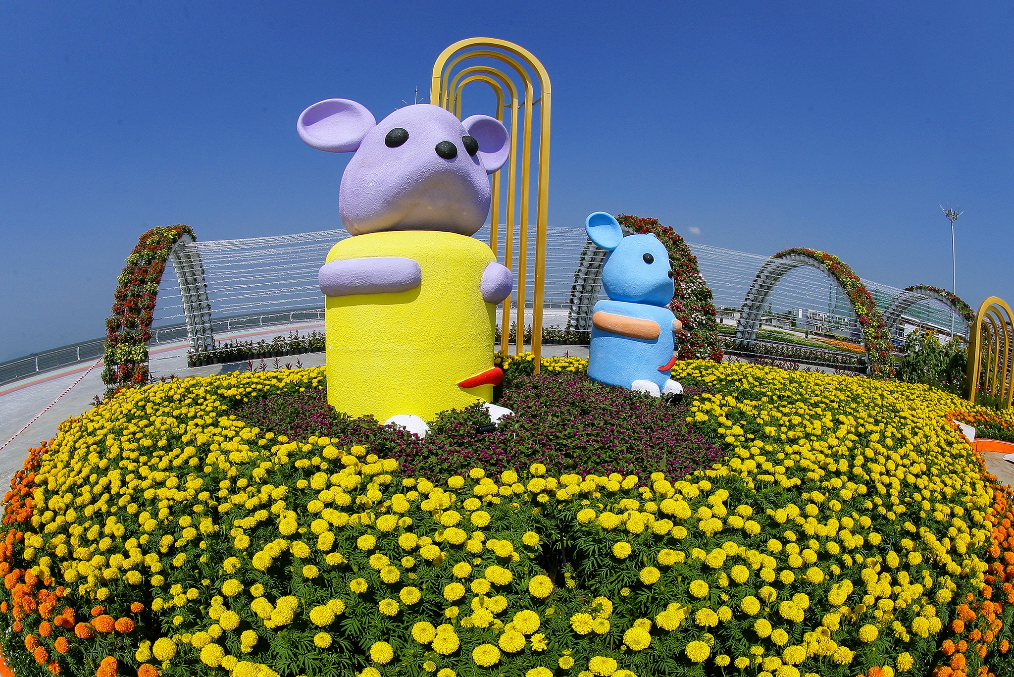 Tuong gia dinh chuot khong lo thu hut du khach mien Tay anh 1