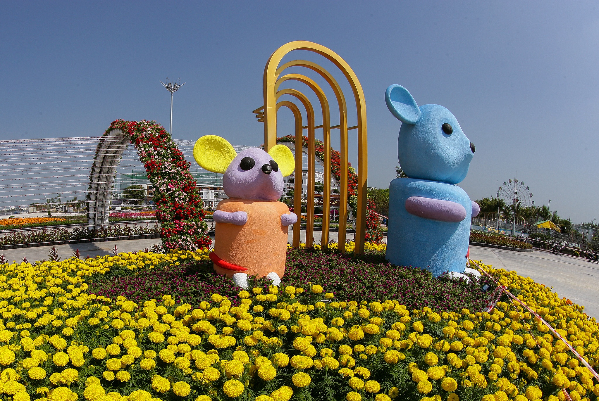 Tuong chuot khong lo o khu do thi lan bien lon nhat Viet Nam hinh anh