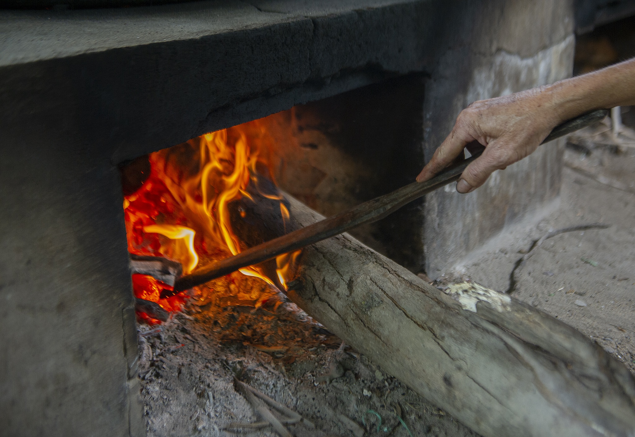 Mot gia dinh mien Tay goi banh tet khong nghi Tet anh 6