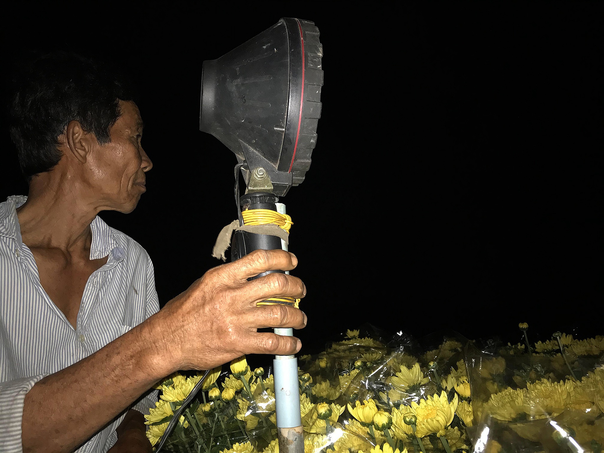 Nông dân trồng hoa miền Tây ảnh 18 Nong dan trong hoa mien Tay anh 18