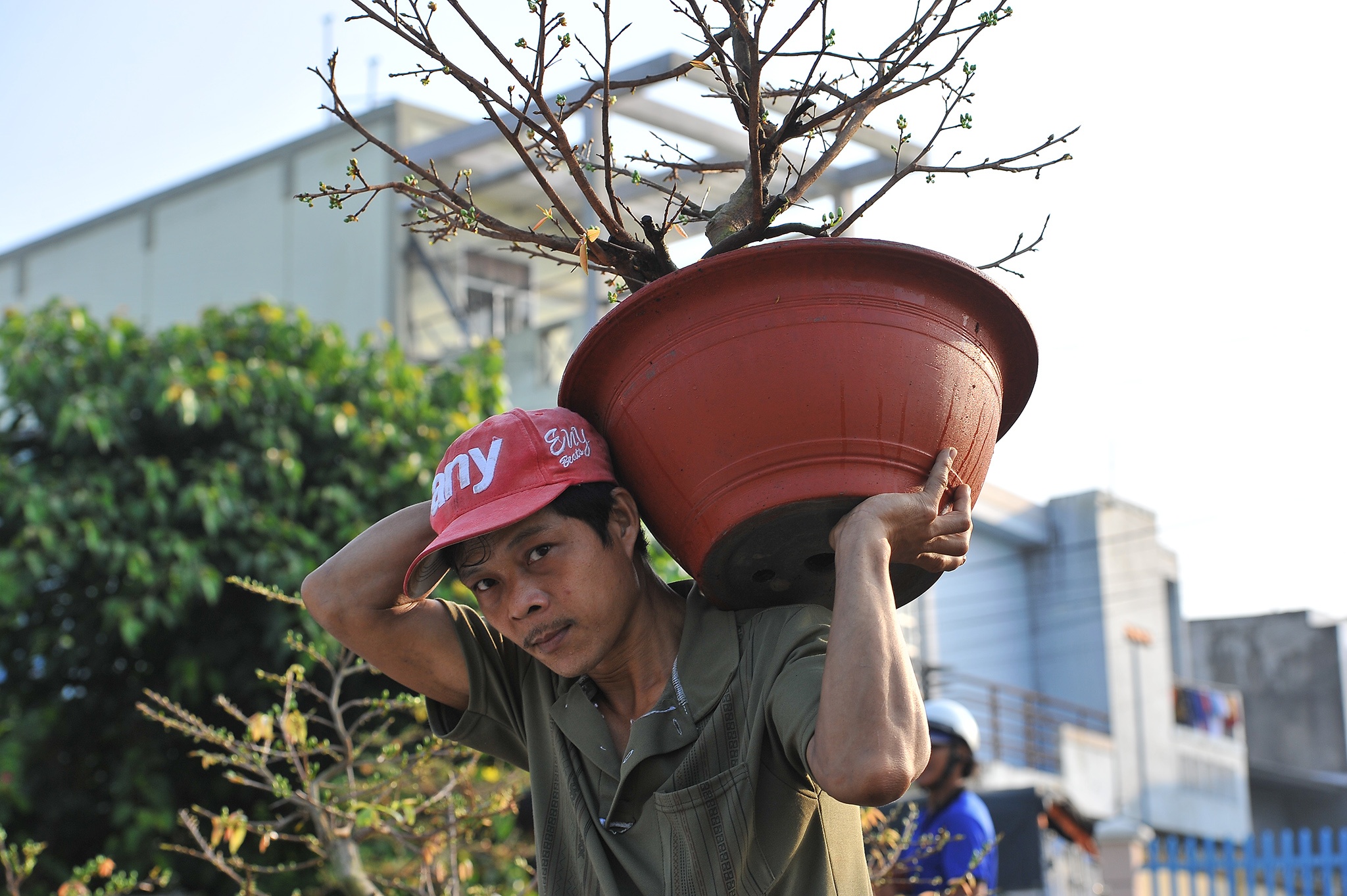 Nông dân trồng hoa miền Tây ảnh 7 Nong dan trong hoa mien Tay anh 7