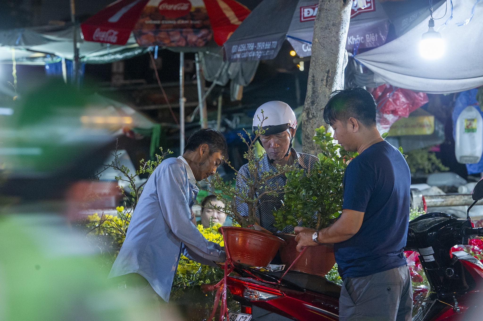 Nông dân trồng hoa miền Tây ảnh 29 Nong dan trong hoa mien Tay anh 29