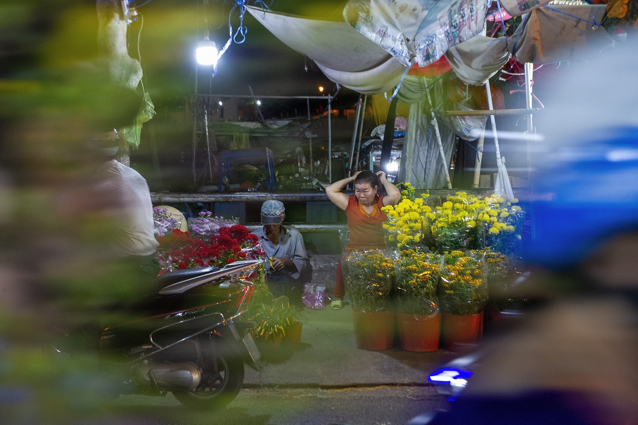 Nông dân trồng hoa miền Tây ảnh 23 Nong dan trong hoa mien Tay anh 23