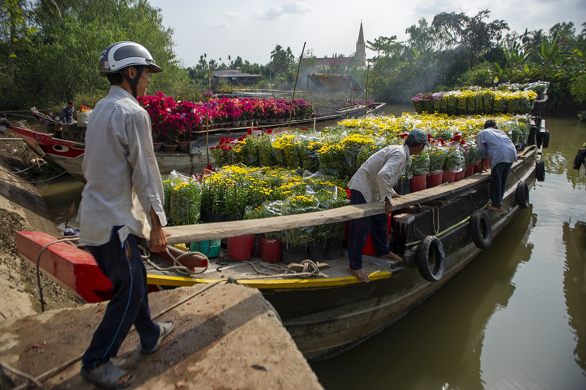 Nông dân trồng hoa miền Tây ảnh 5 Nong dan trong hoa mien Tay anh 5