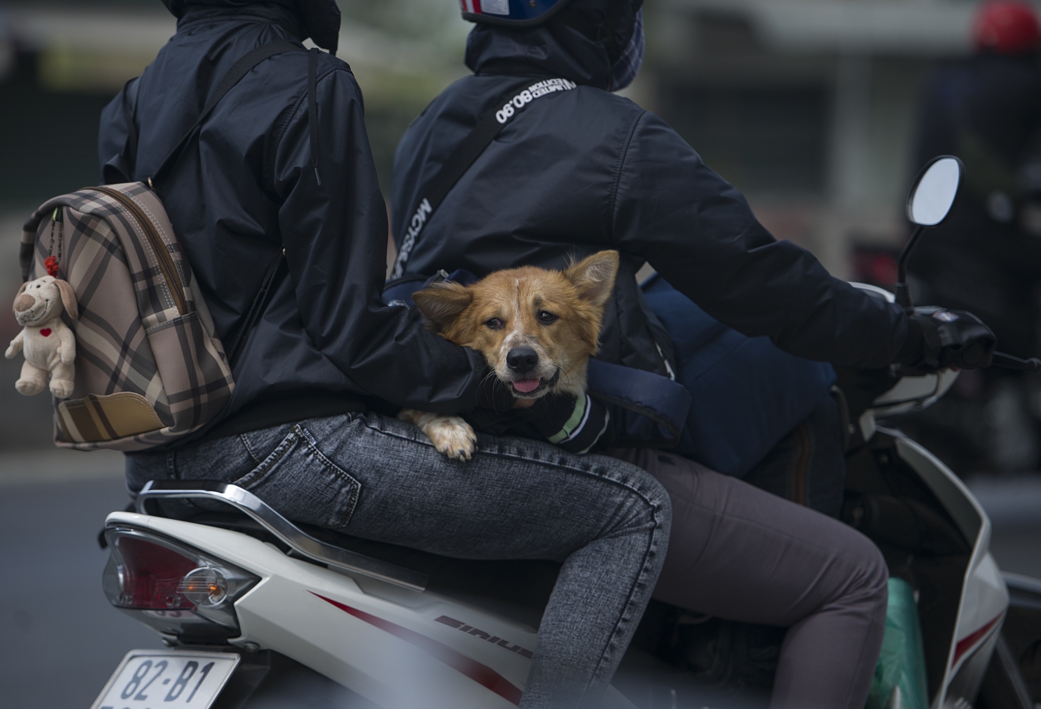 Nguoi lao dong mien Tay anh 13