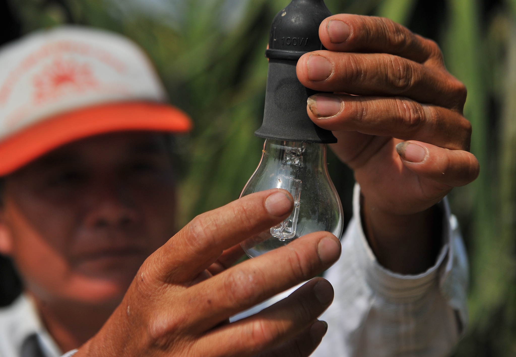 Dai dich corona khien nguoi trong thanh long mien Tay dieu dung anh 7