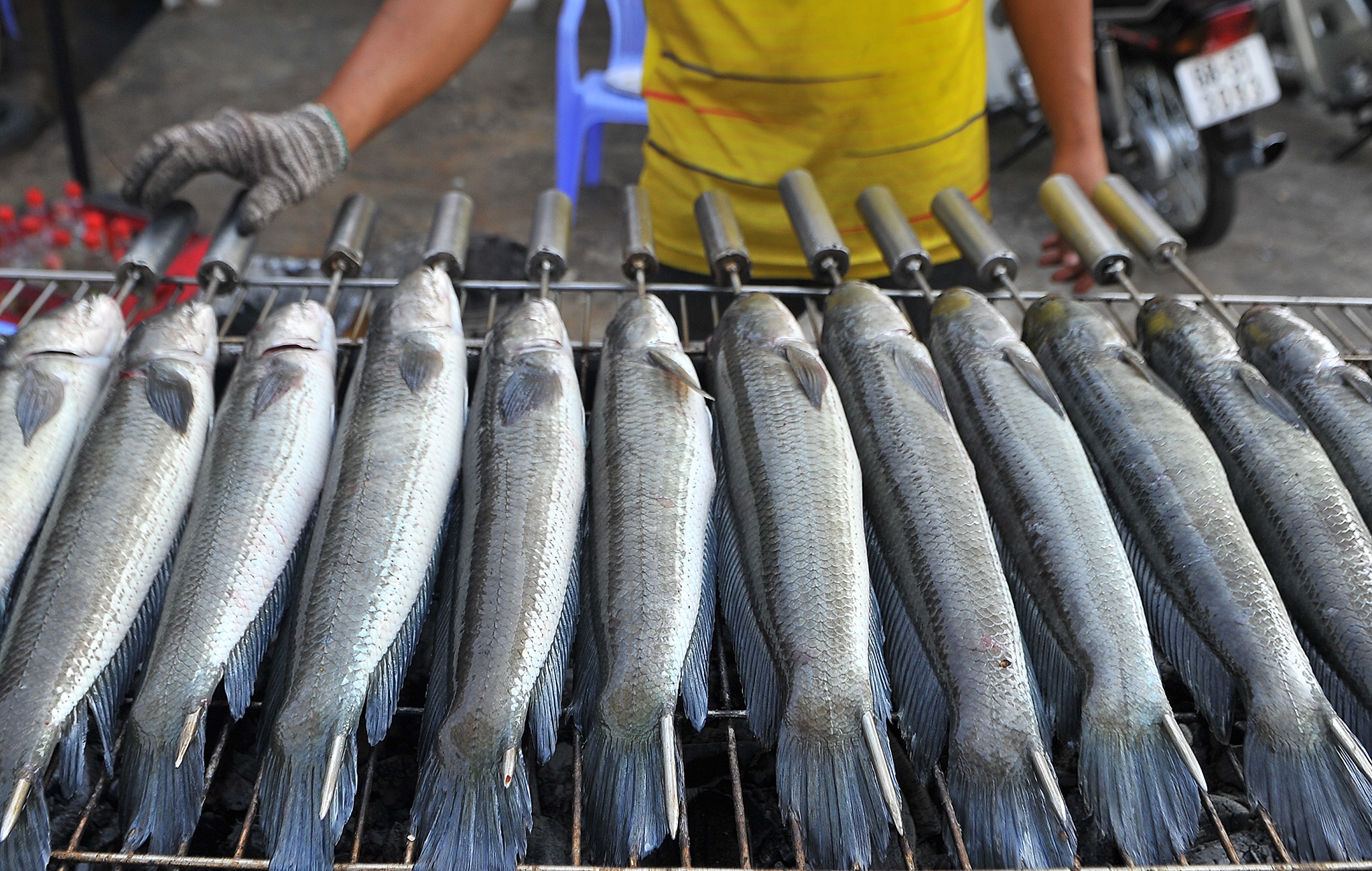 Ca loc nuong mien Tay,  ca loc via than tai mien Tay anh 2