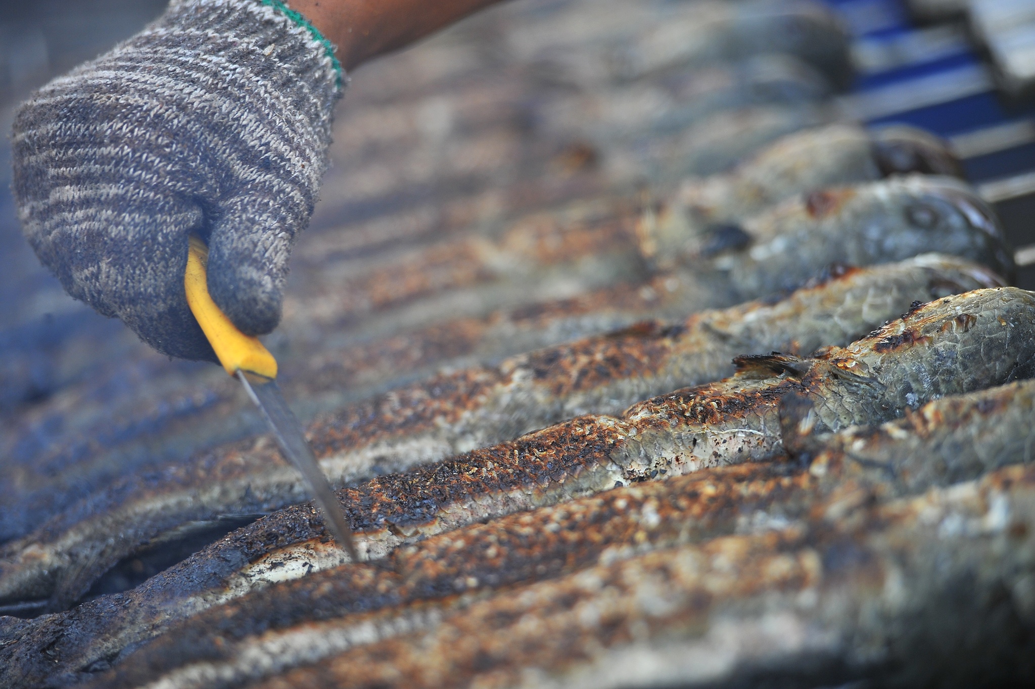 Ca loc nuong mien Tay,  ca loc via than tai mien Tay anh 4