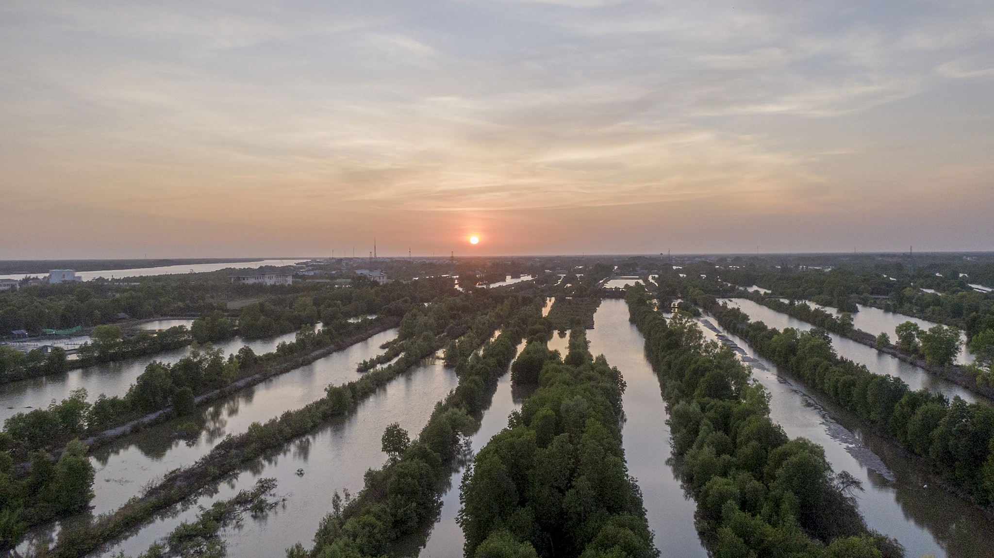 corona,  xuat khau cua,  cua rot gia,  gia cua,  thi truong cua noi dia,  ung pho cua rot gia anh 8