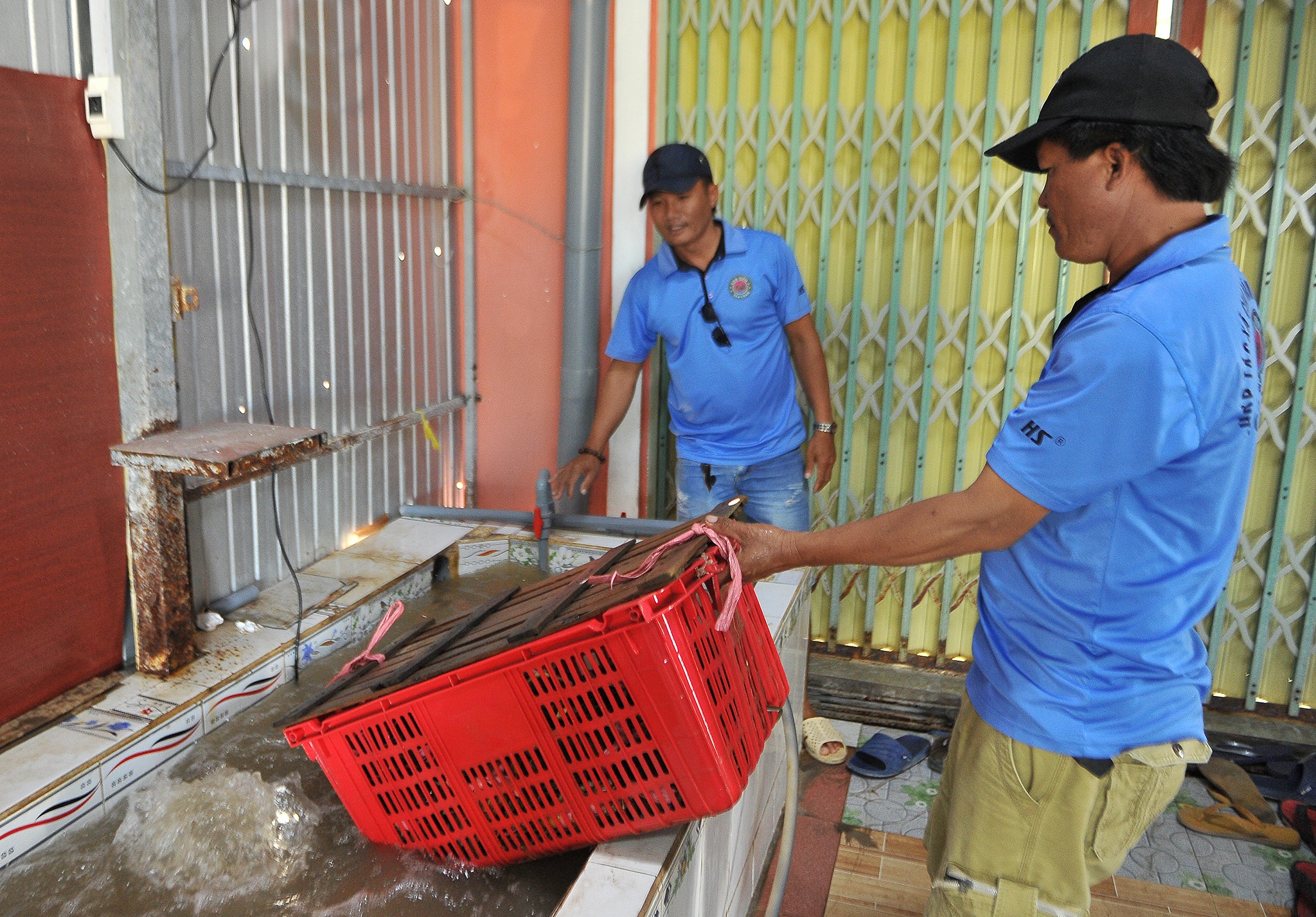 corona,  xuat khau cua,  cua rot gia,  gia cua,  thi truong cua noi dia,  ung pho cua rot gia anh 3