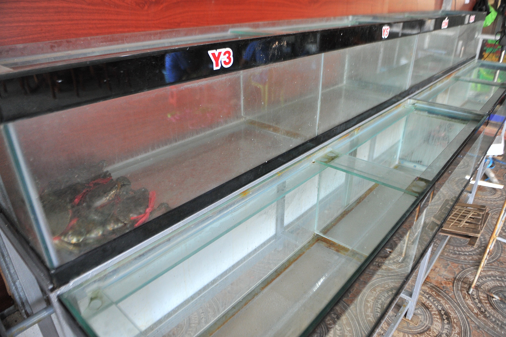 corona,  xuat khau cua,  cua rot gia,  gia cua,  thi truong cua noi dia,  ung pho cua rot gia anh 4