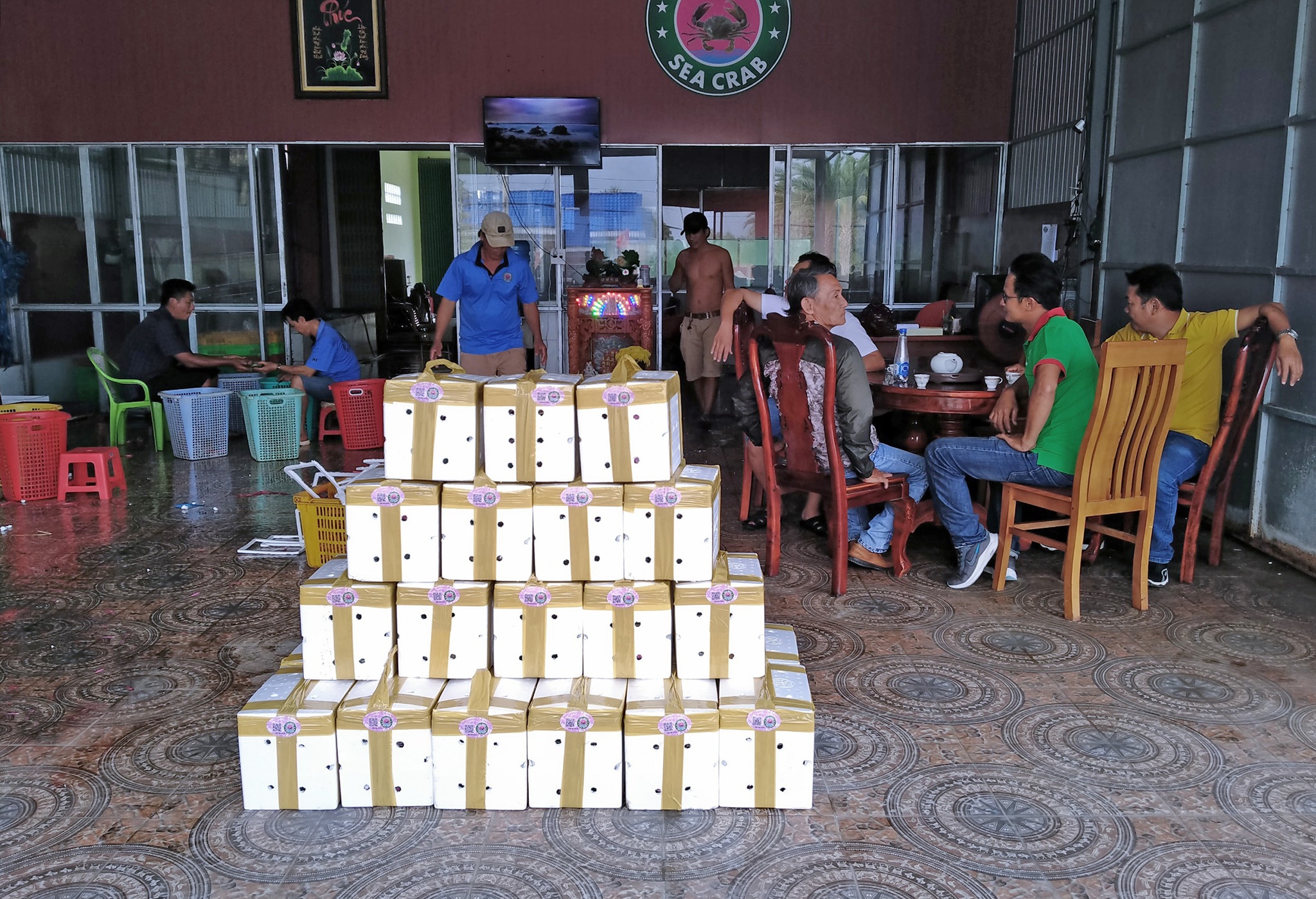 corona,  xuat khau cua,  cua rot gia,  gia cua,  thi truong cua noi dia,  ung pho cua rot gia anh 6