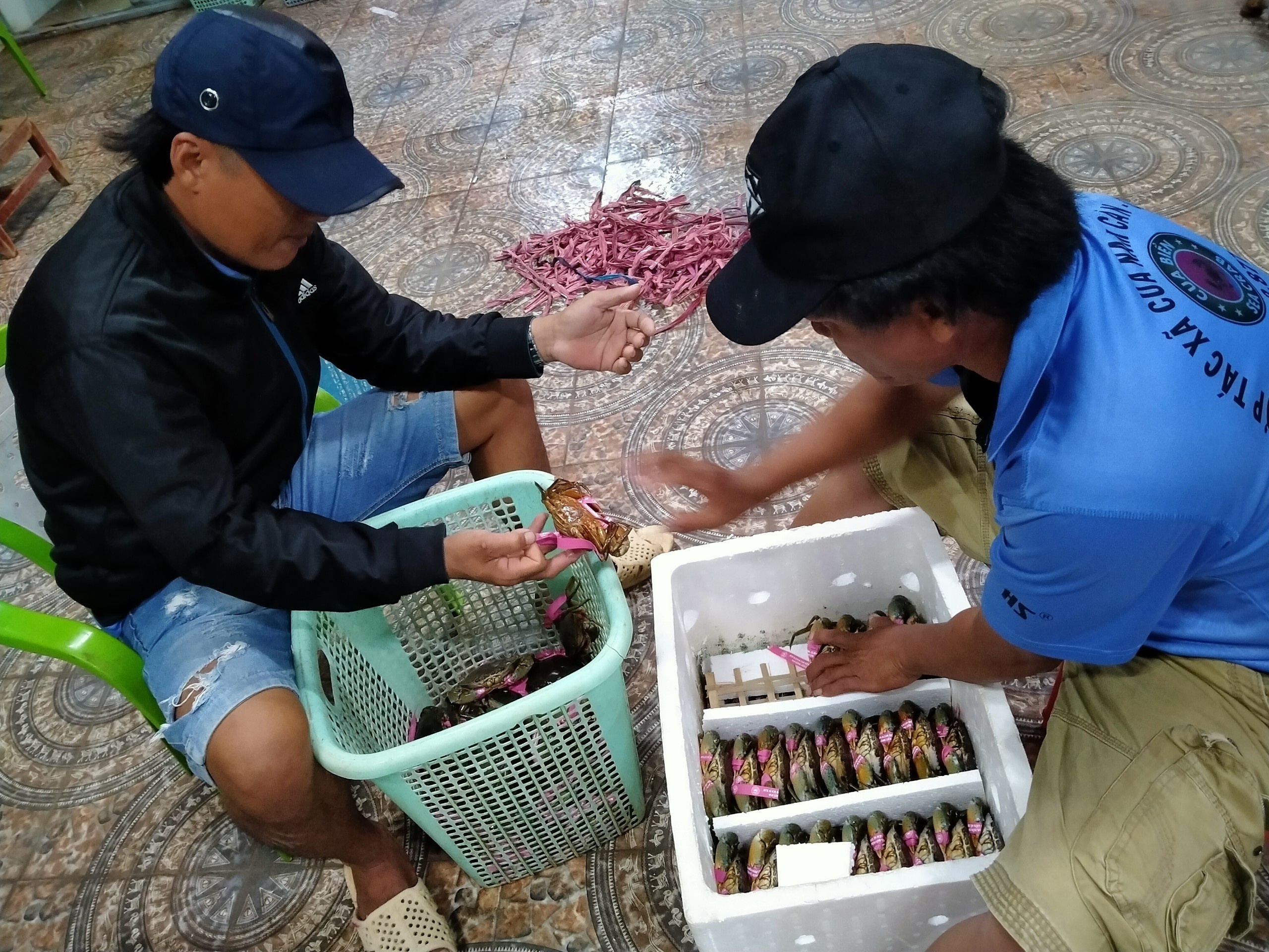 corona,  xuat khau cua,  cua rot gia,  gia cua,  thi truong cua noi dia,  ung pho cua rot gia anh 7