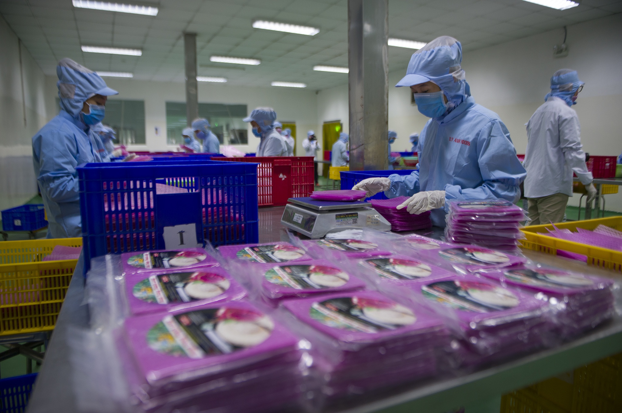 Bun dua hau,  banh trang thanh long xuat khau anh 10