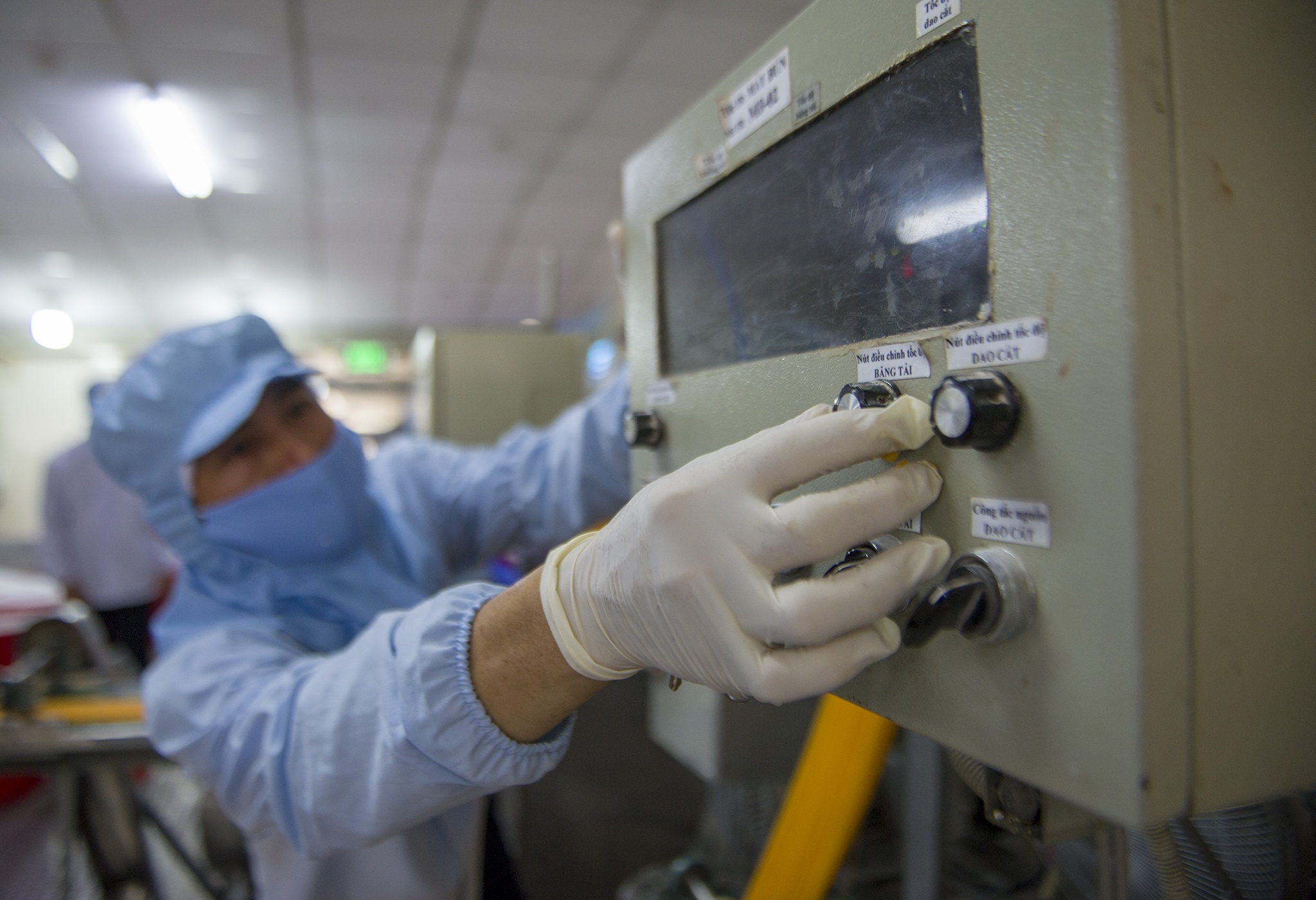 Bun dua hau,  banh trang thanh long xuat khau anh 9